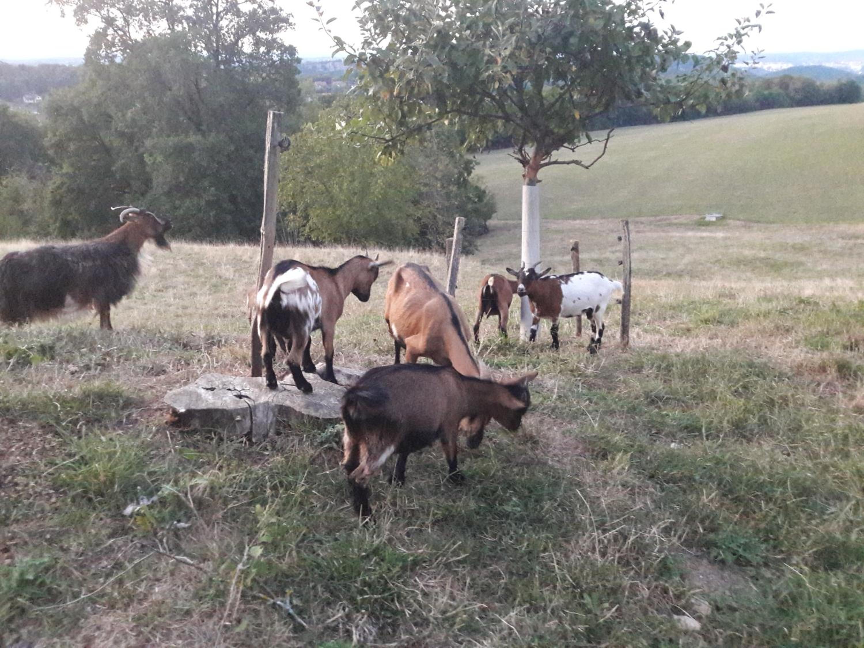 Au Doubs Repos view 2