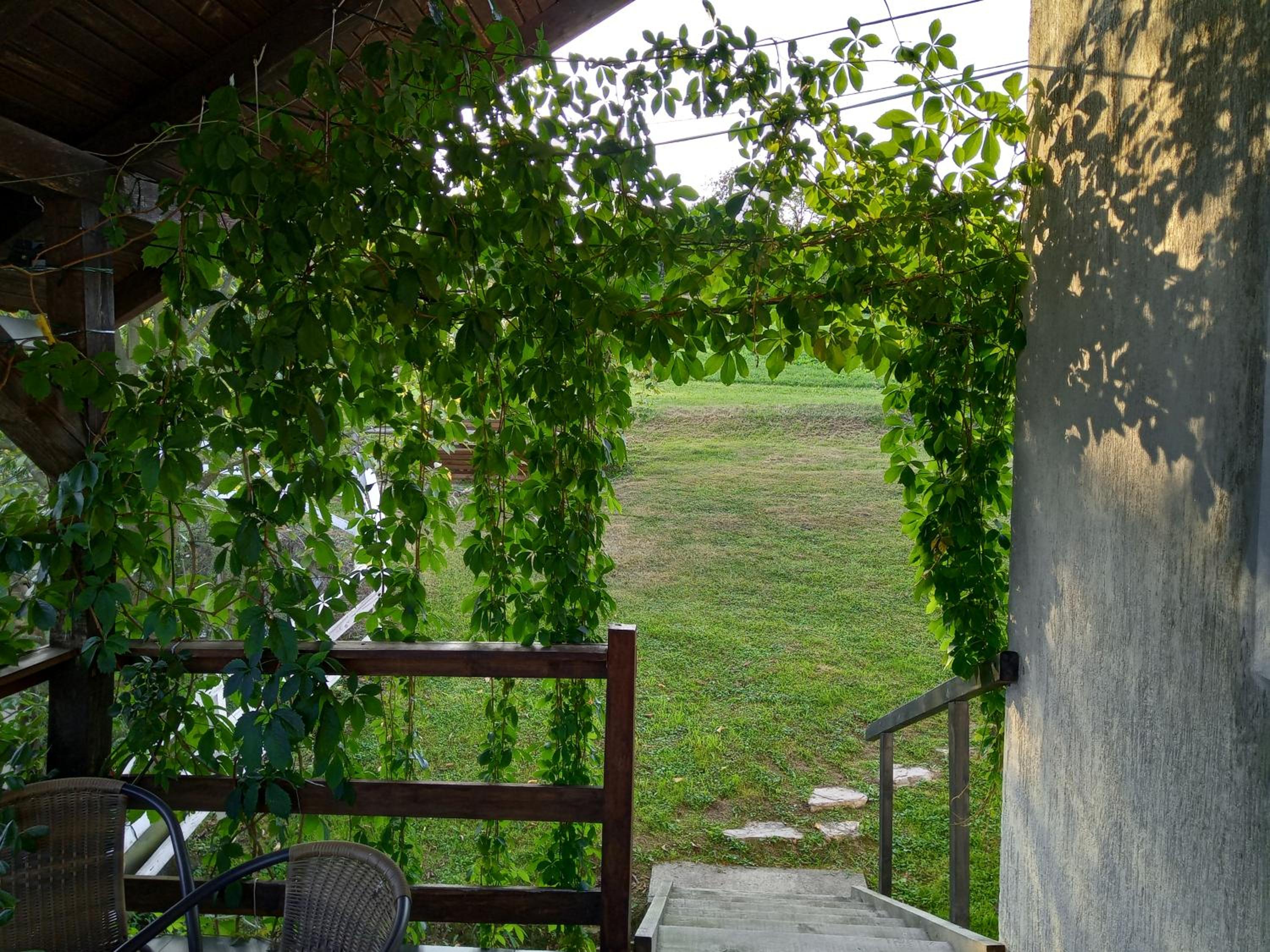 Country House Roman