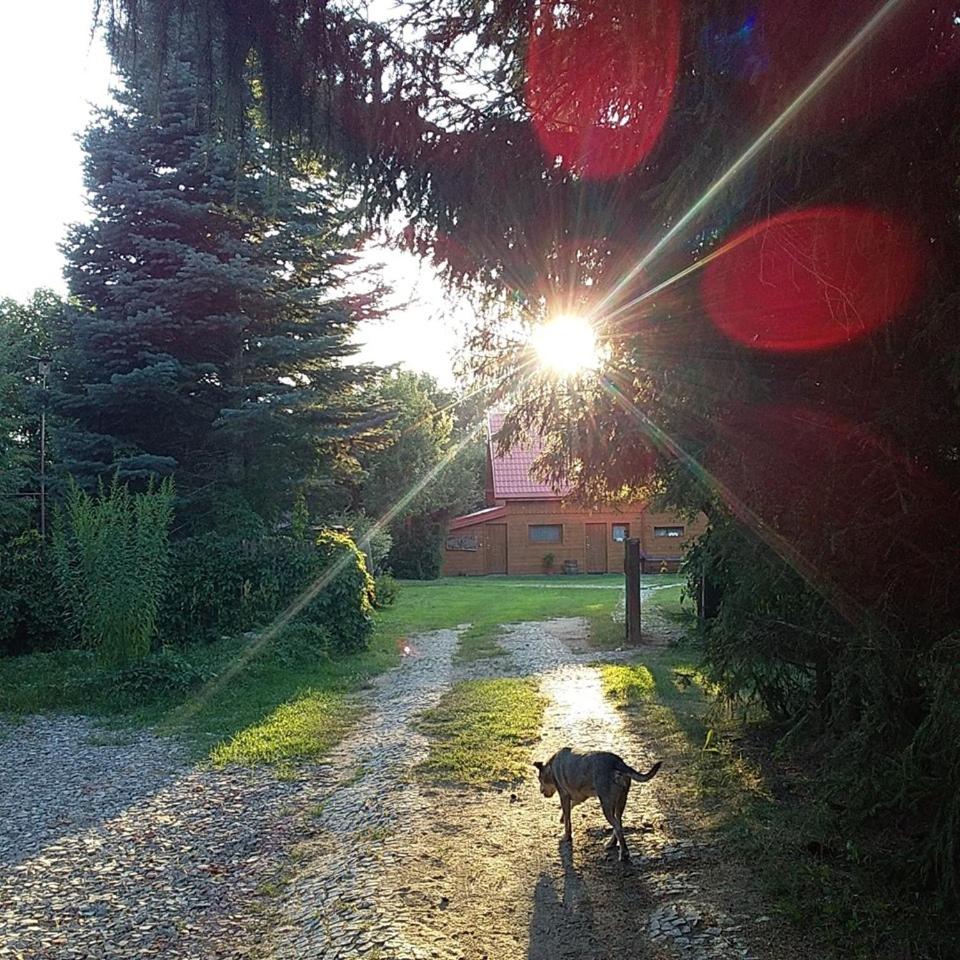 Photo 28