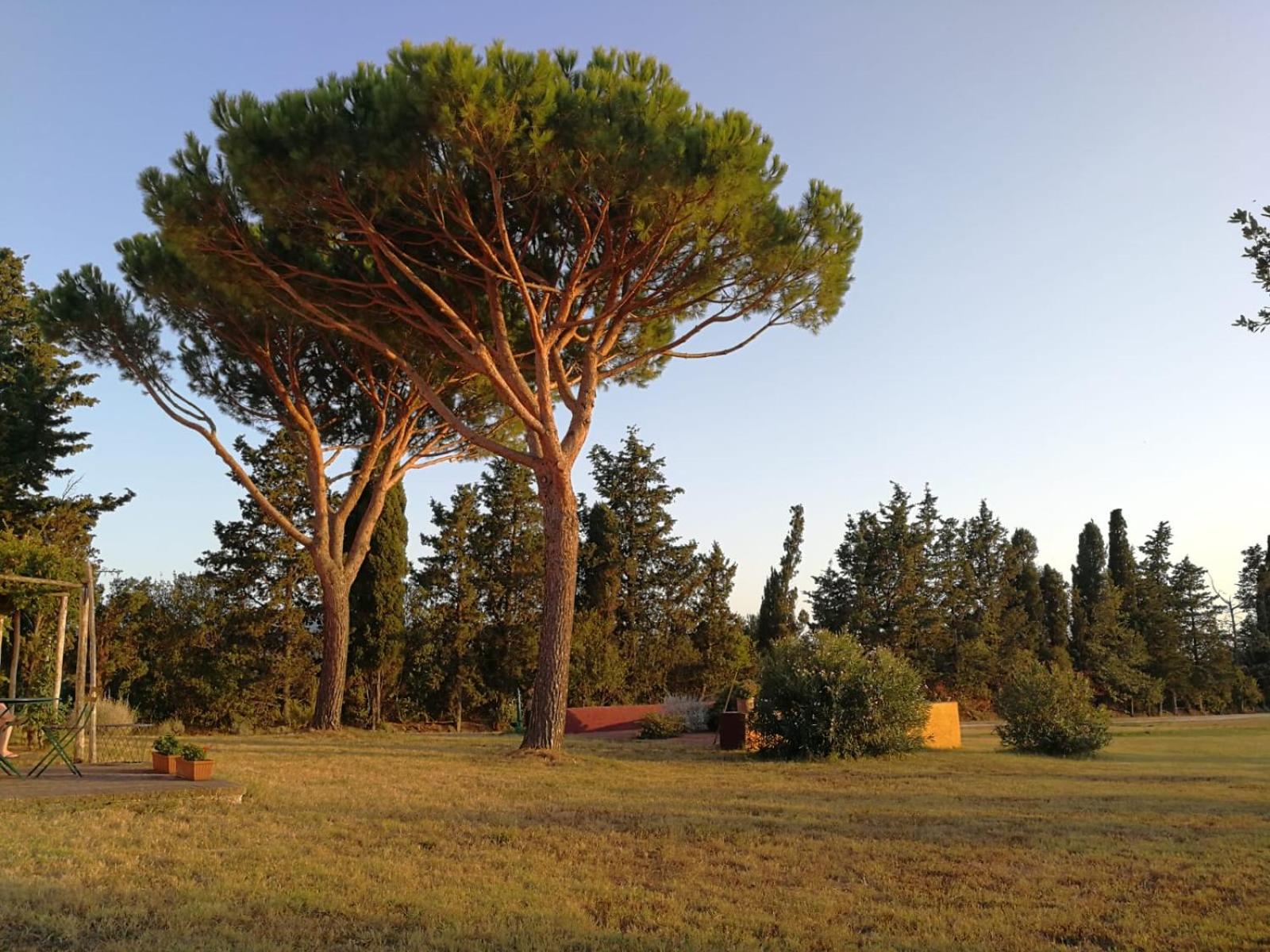 Le Grascete view 2