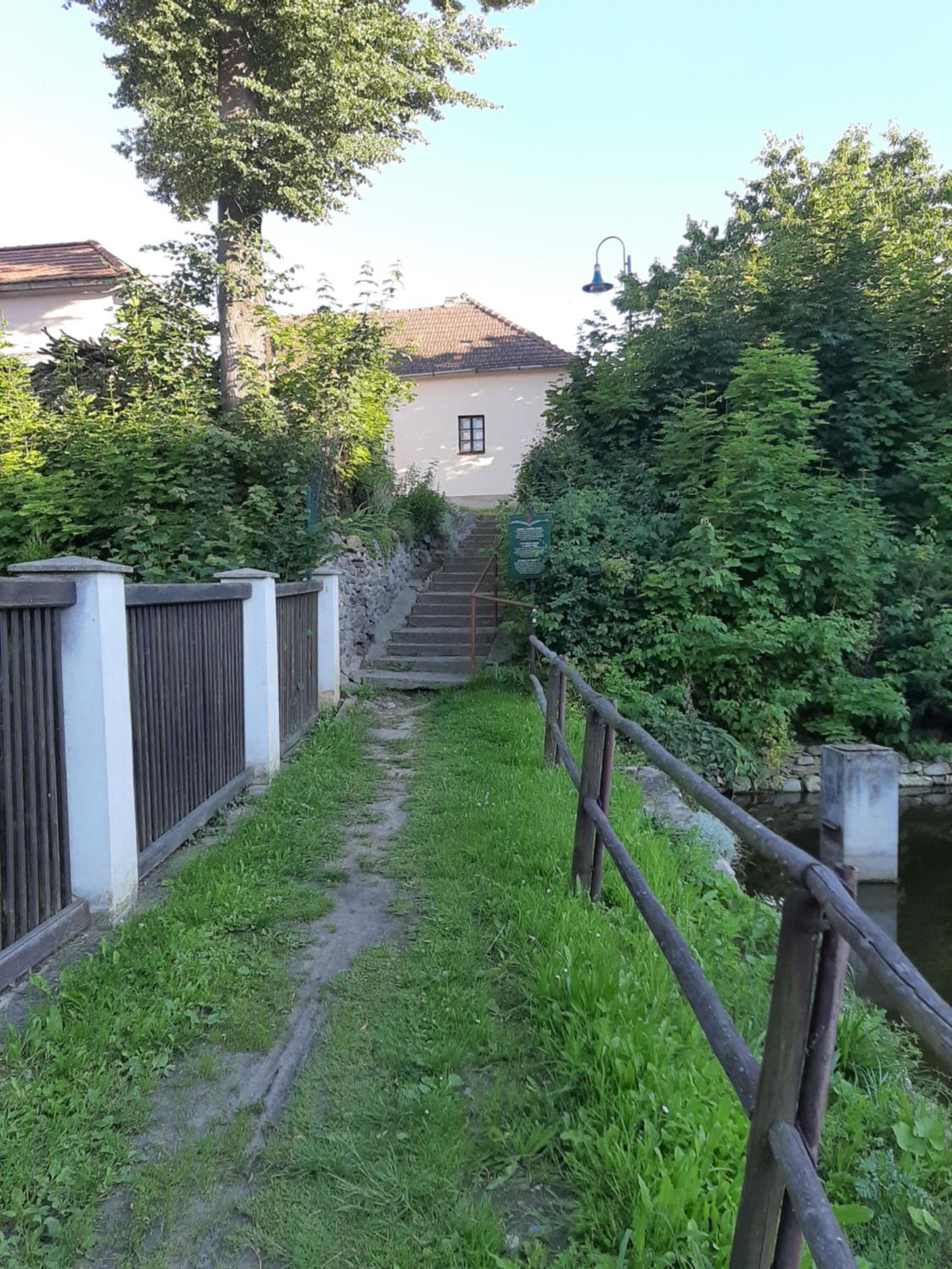 Photo 20