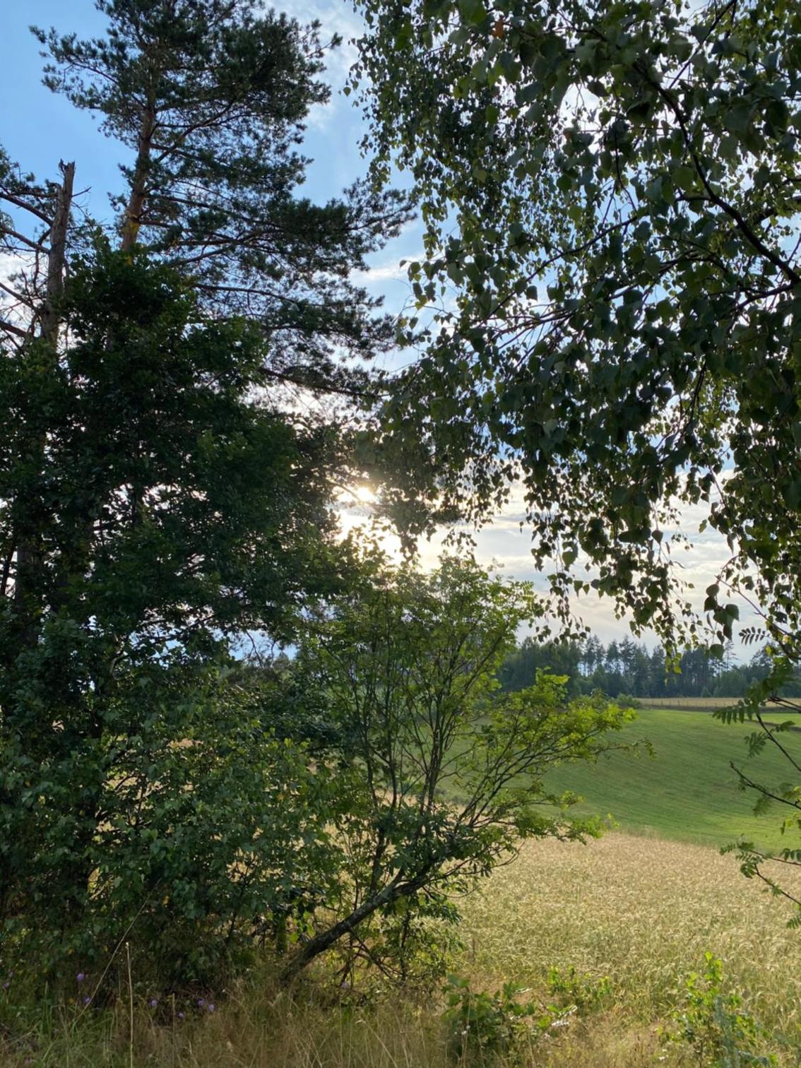 Dom z basenem i widokiem na łąkę view 2
