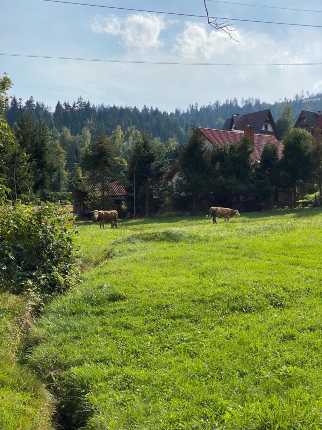 Agroturystyka u Beaty Dom I