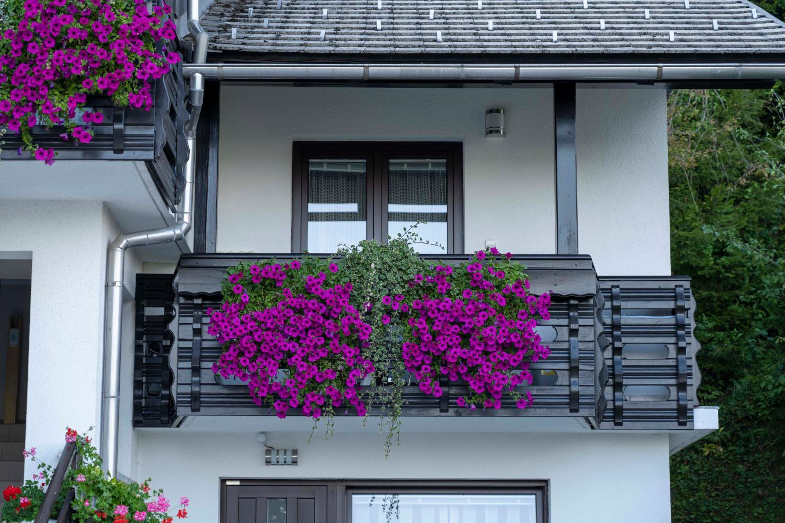 Apartma Vražič