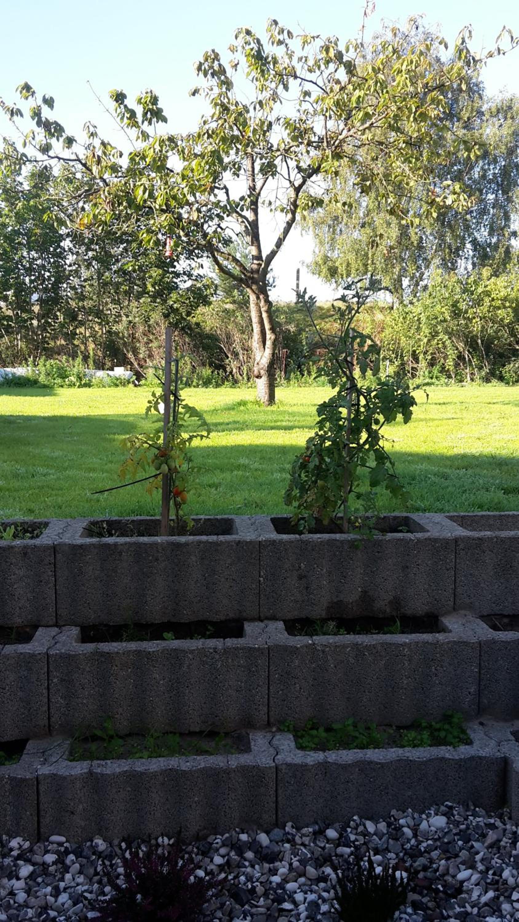 Photo 21