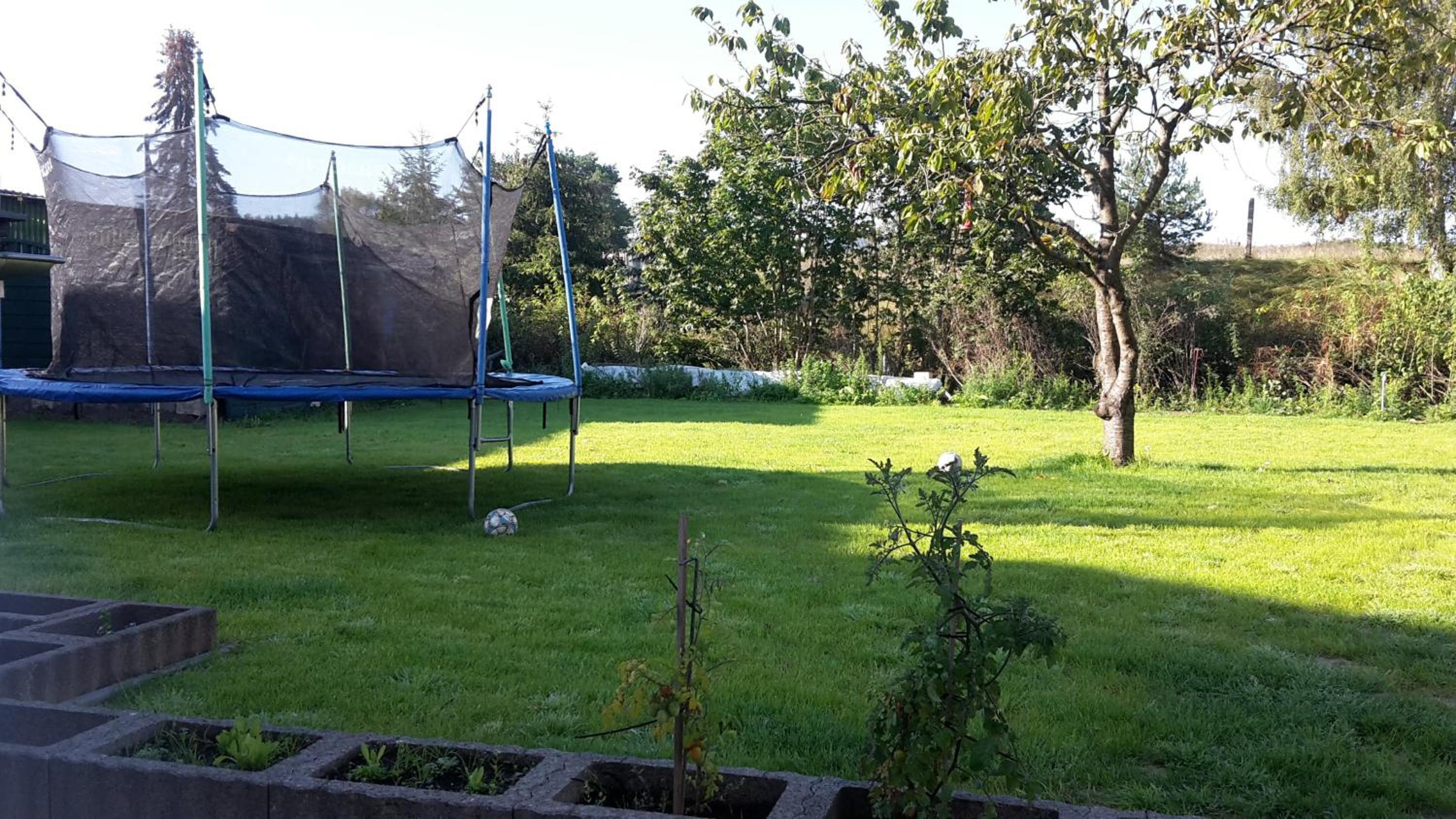 Photo 22