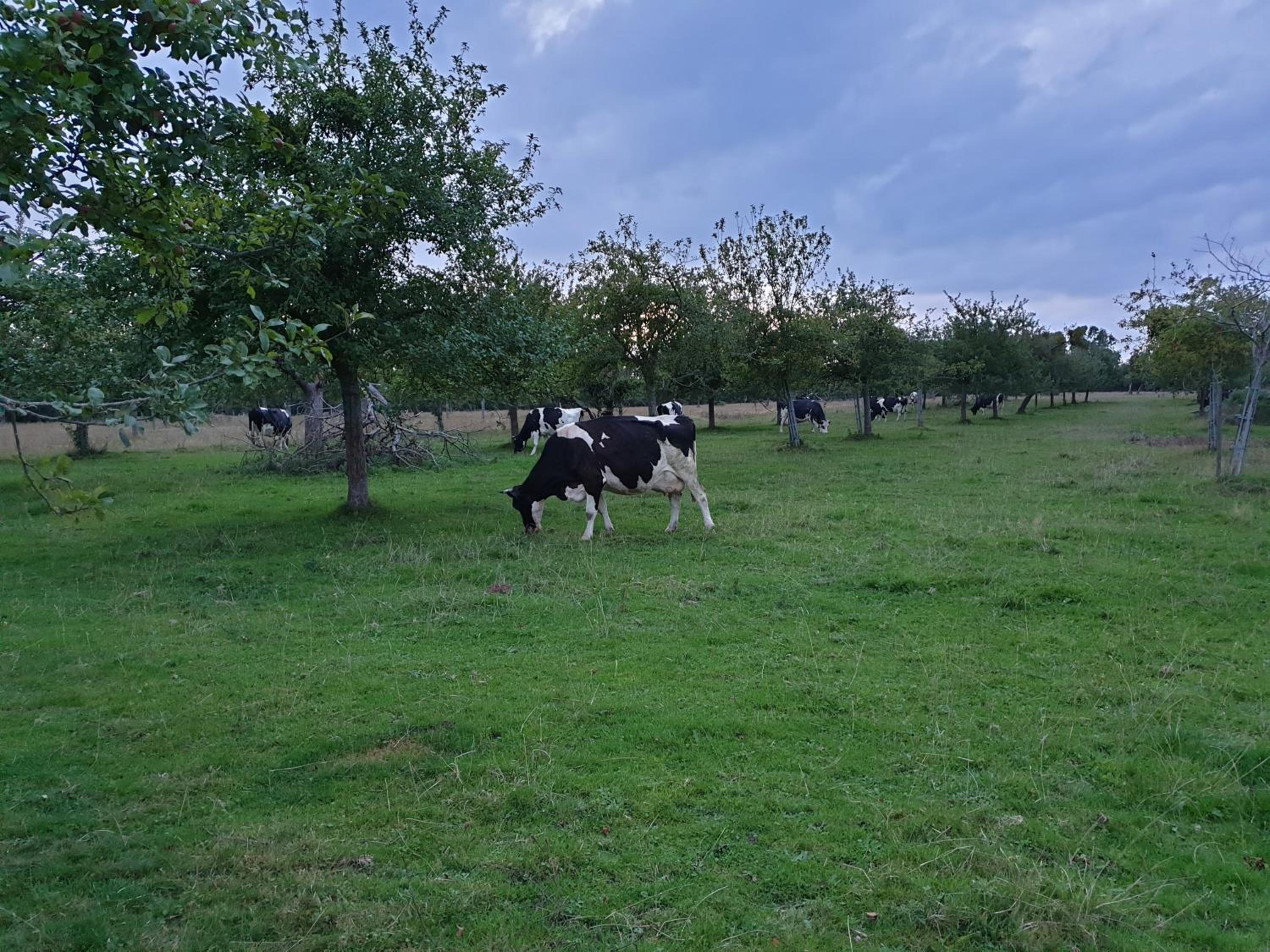 la ferme chevalier view 3