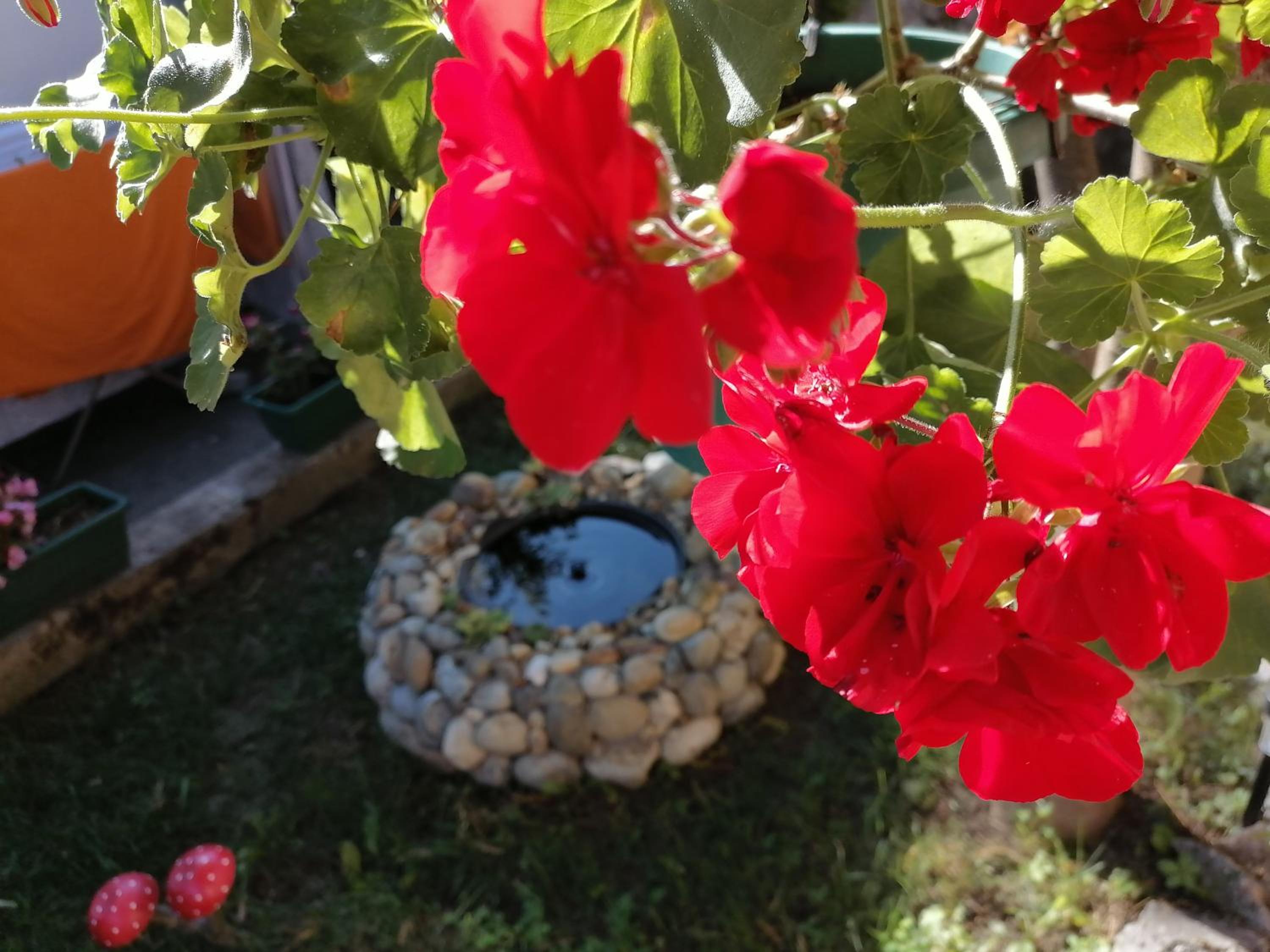 Photo 26