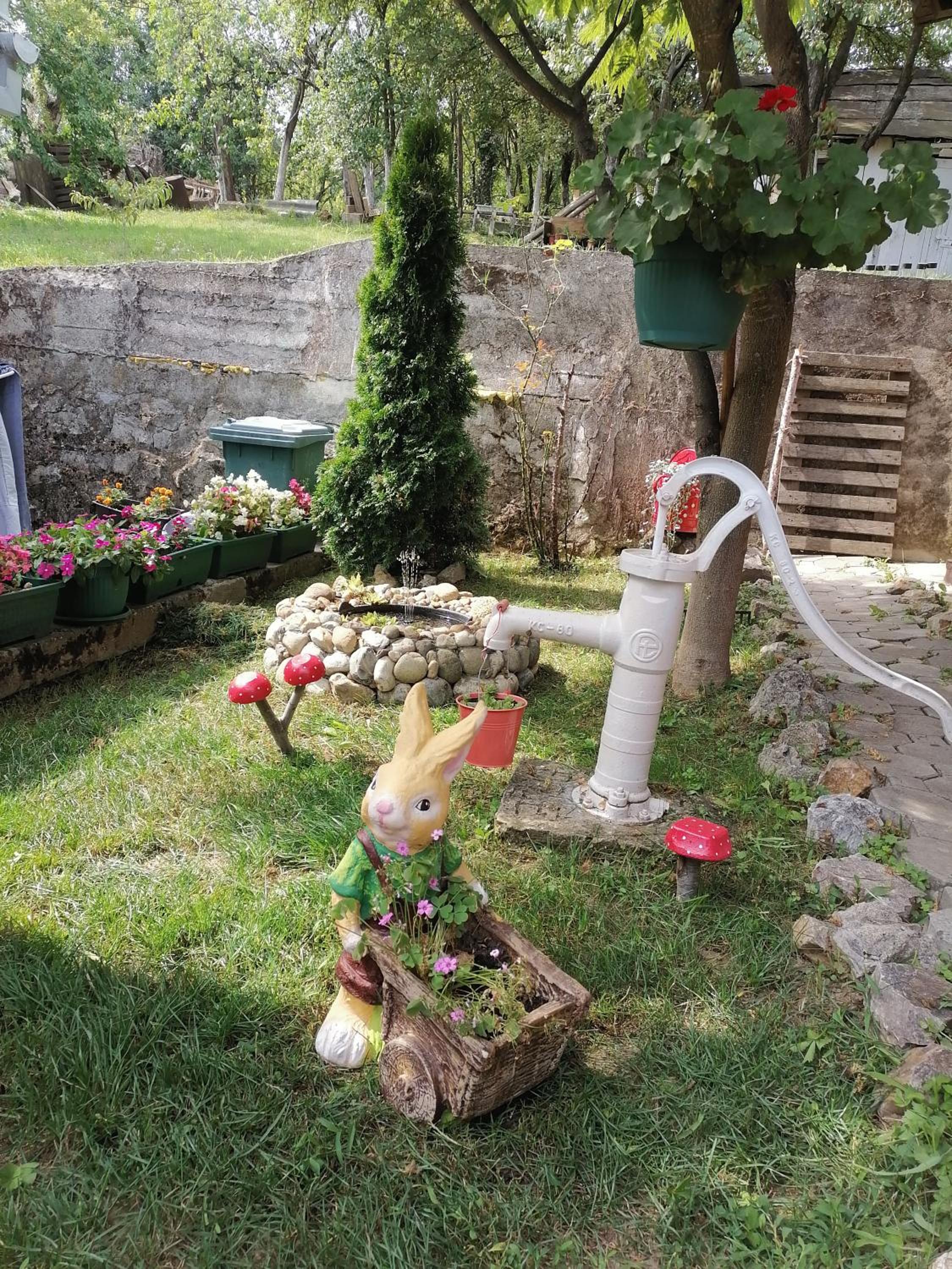 Apartman IVANA view 5