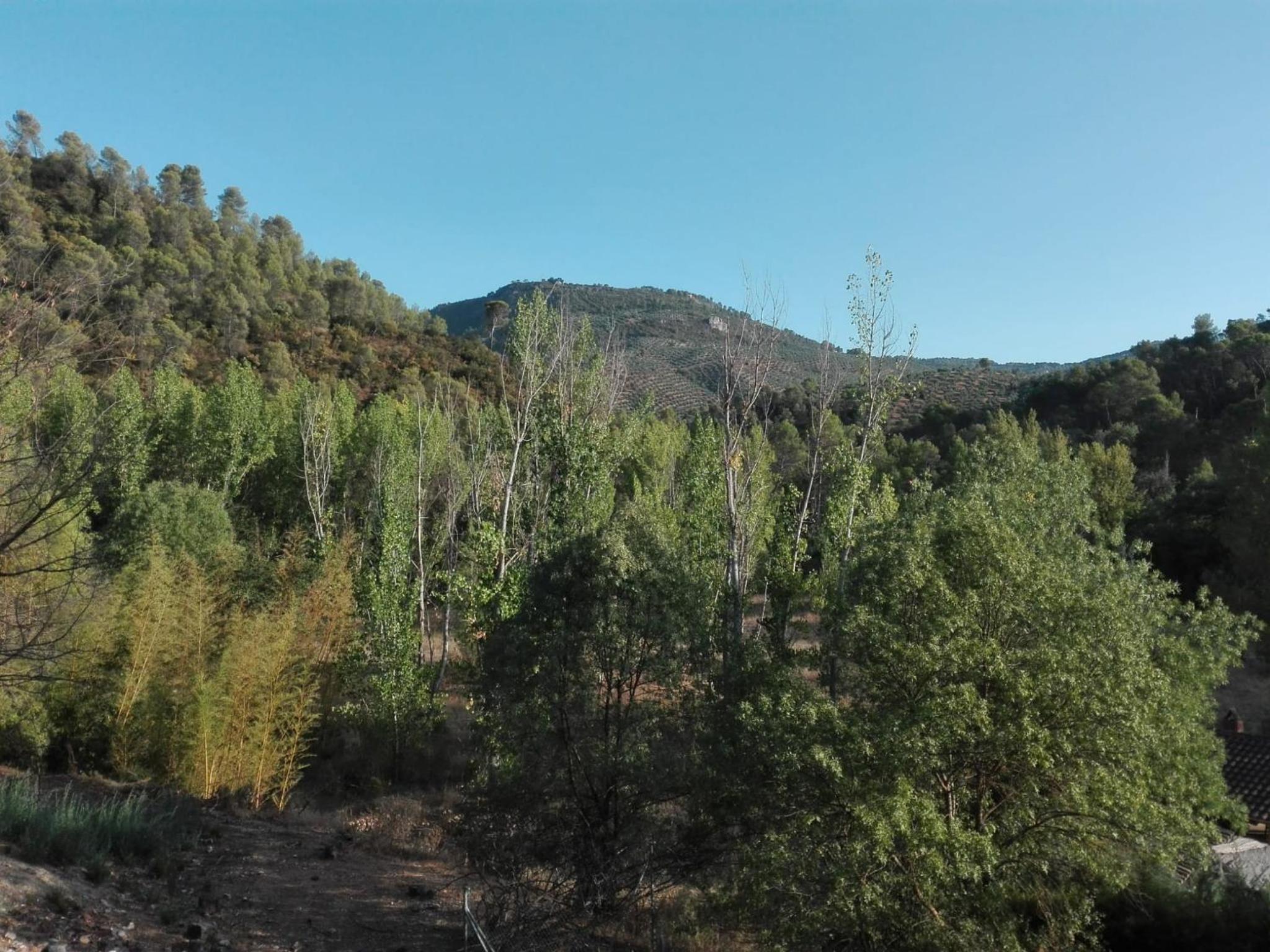 Huerta de José Miguel photo 2