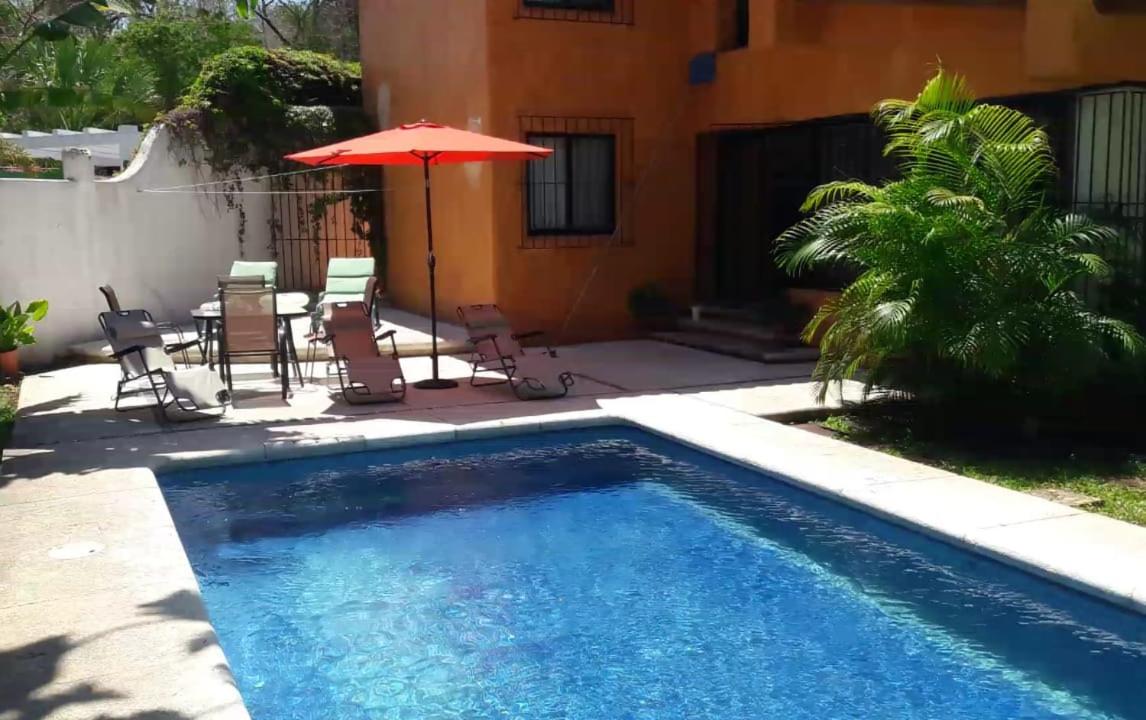 Photo 8