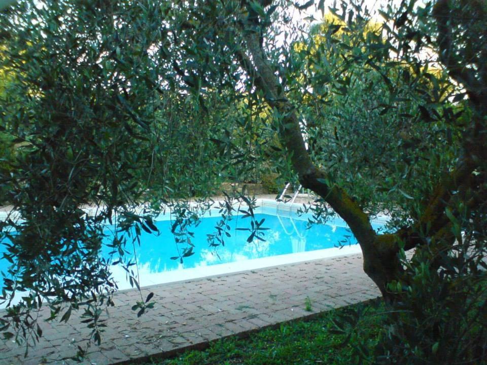 Tenuta Santa Maria photo 1
