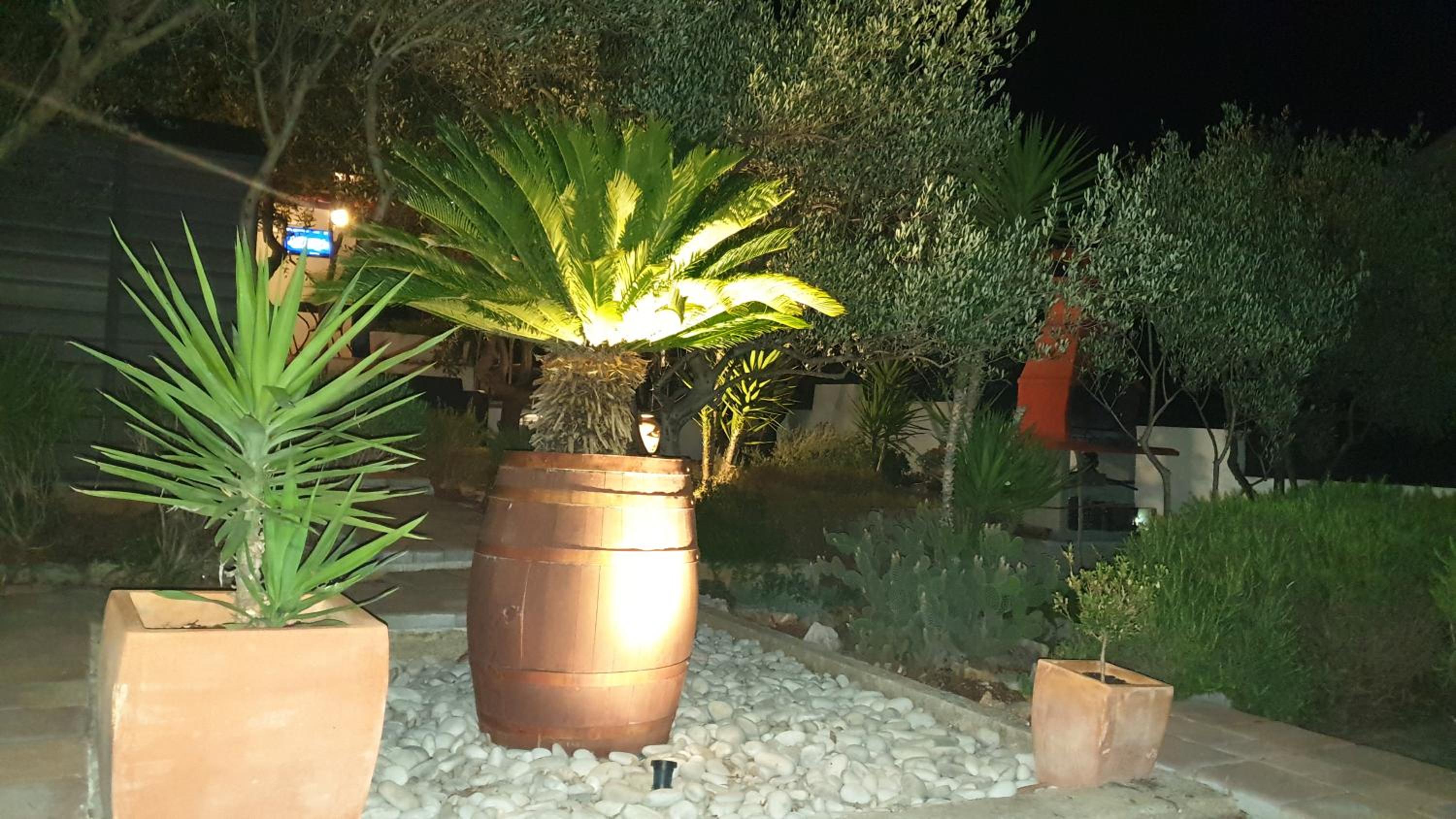 Photo 31