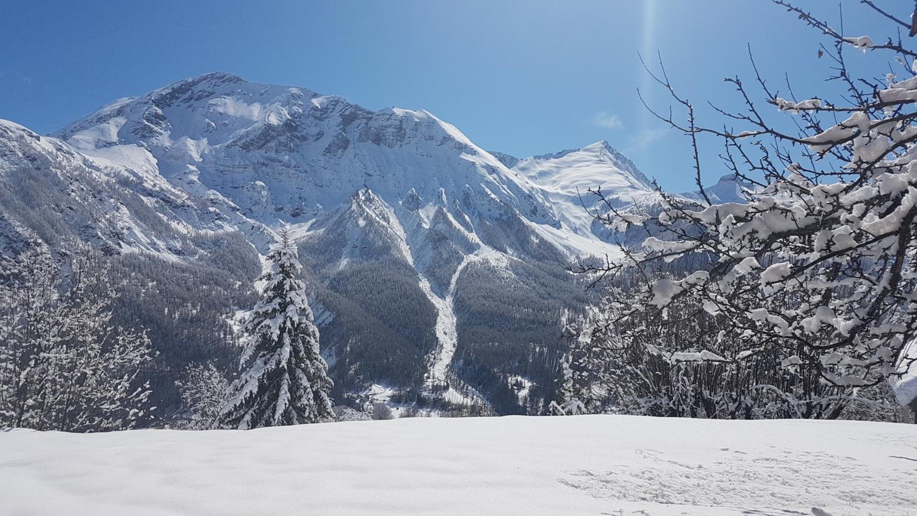 Chalet la Forestière view 3