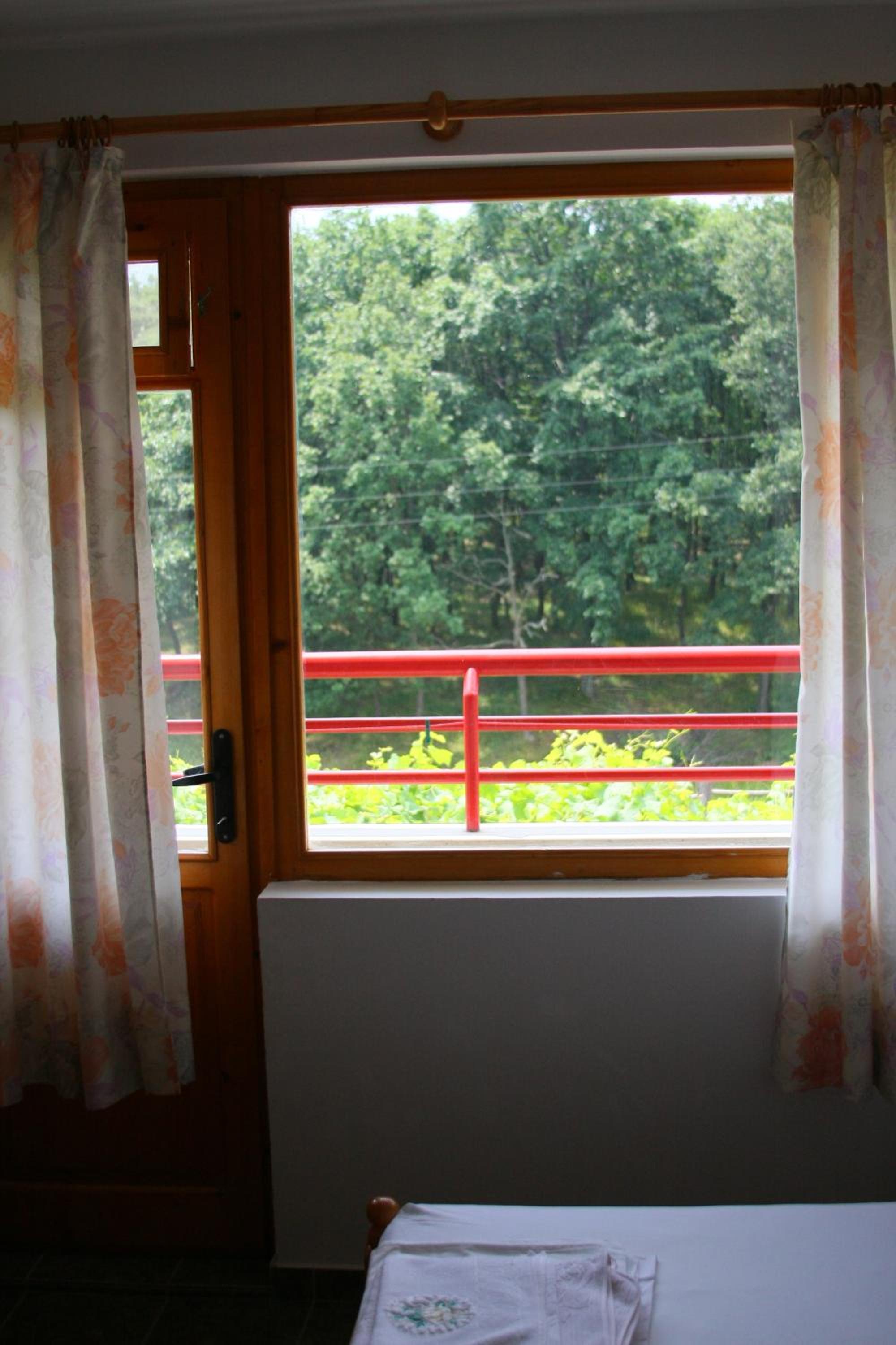 Victoria Sinemorets Guest House