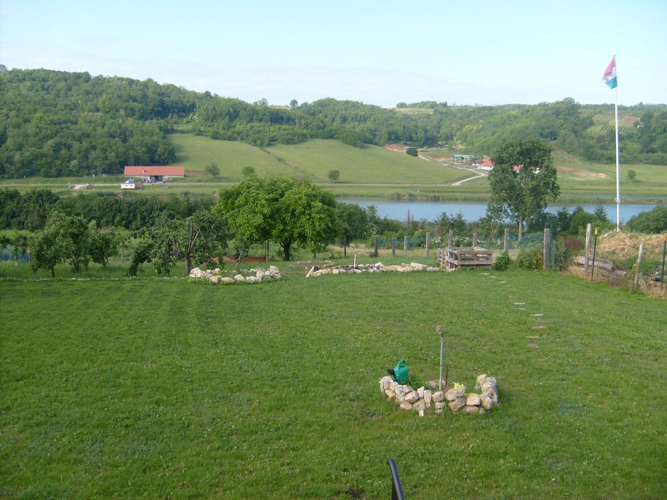 Photo 13