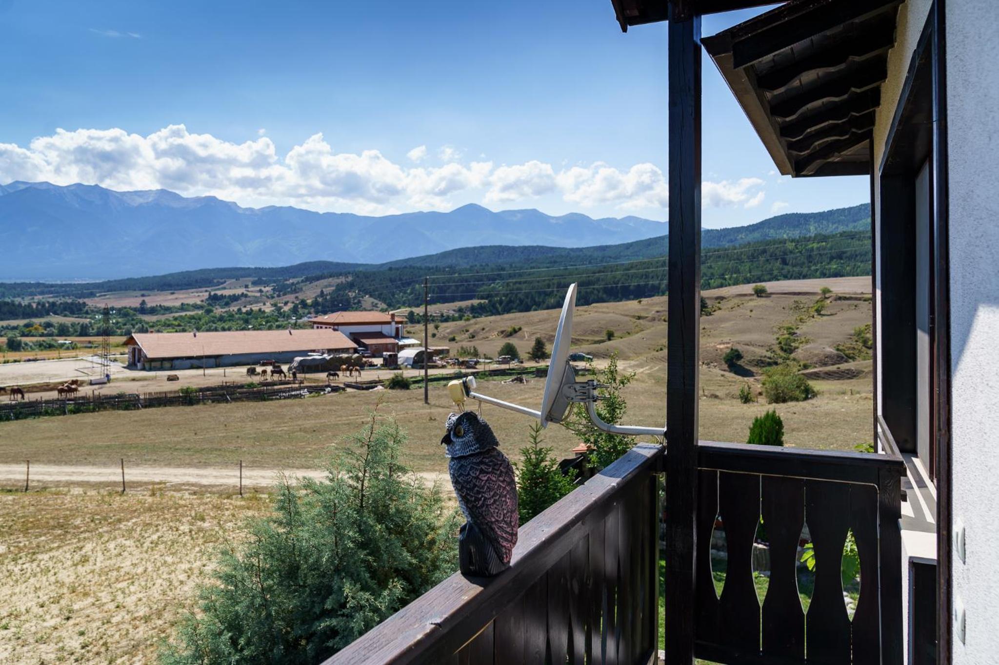 Guest House Tommy Bansko - Bachevo