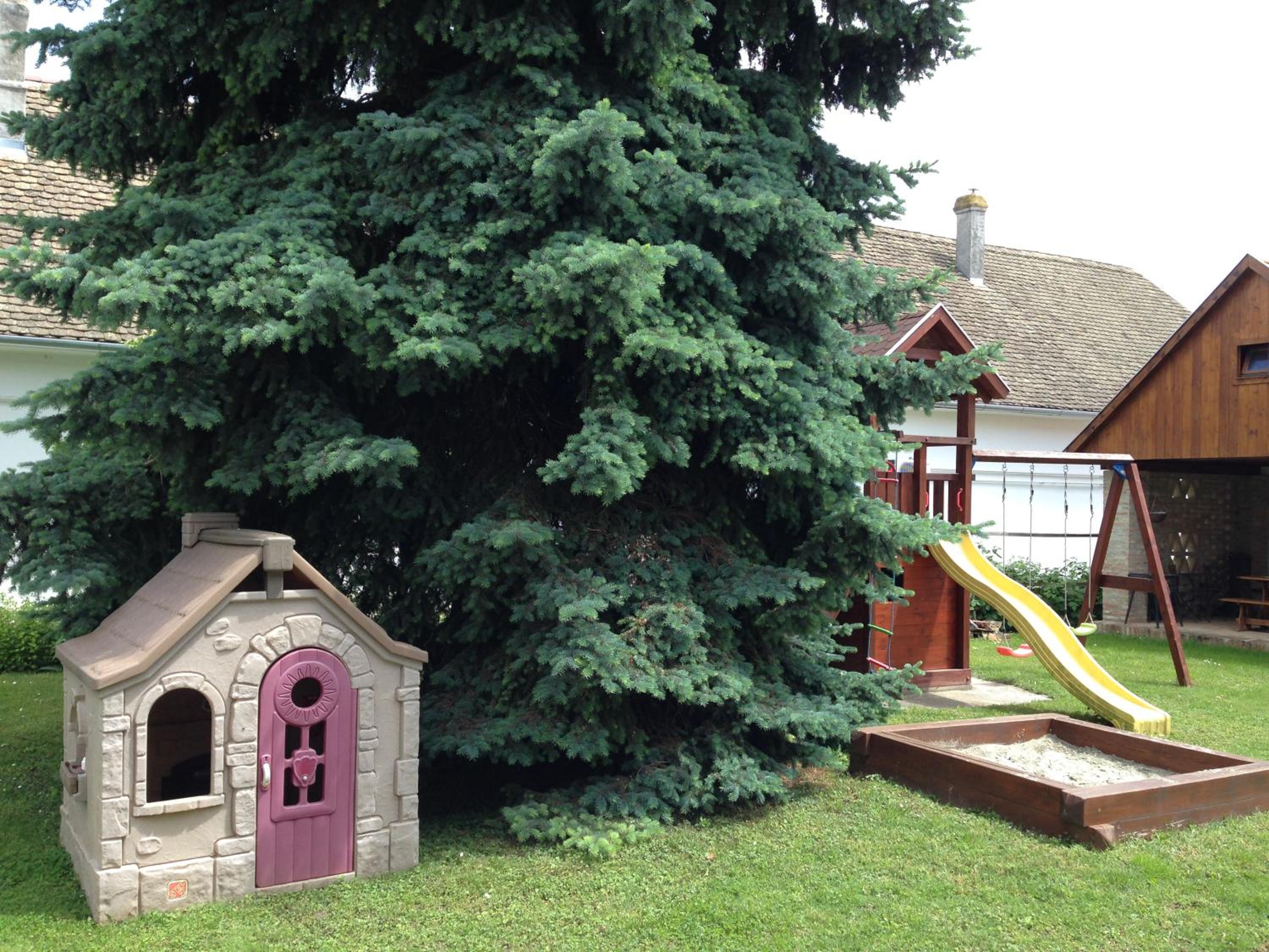 Photo 28