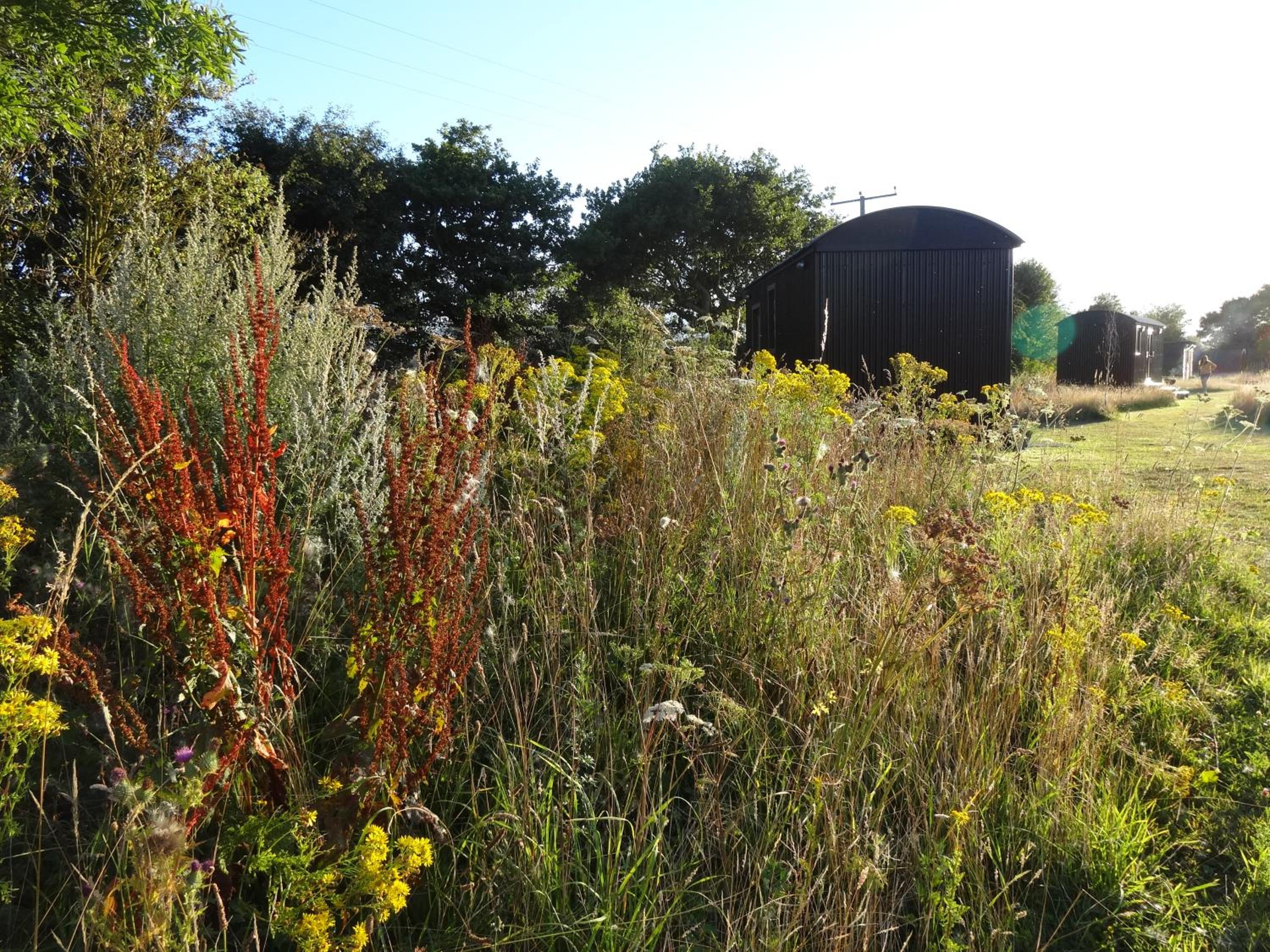 The Oaks Glamping - Pips Cabin view 4