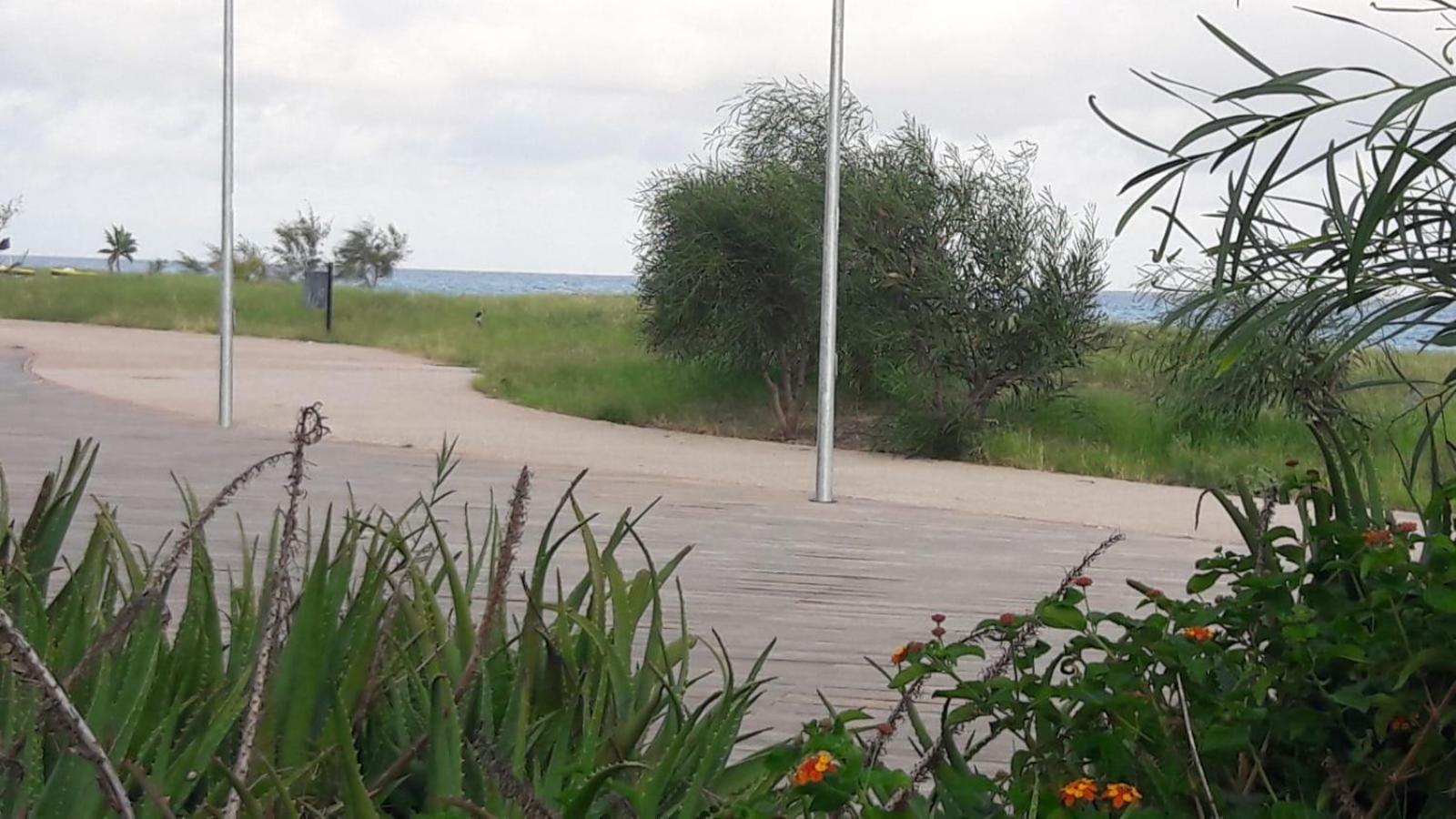 Attico Riace photo 2