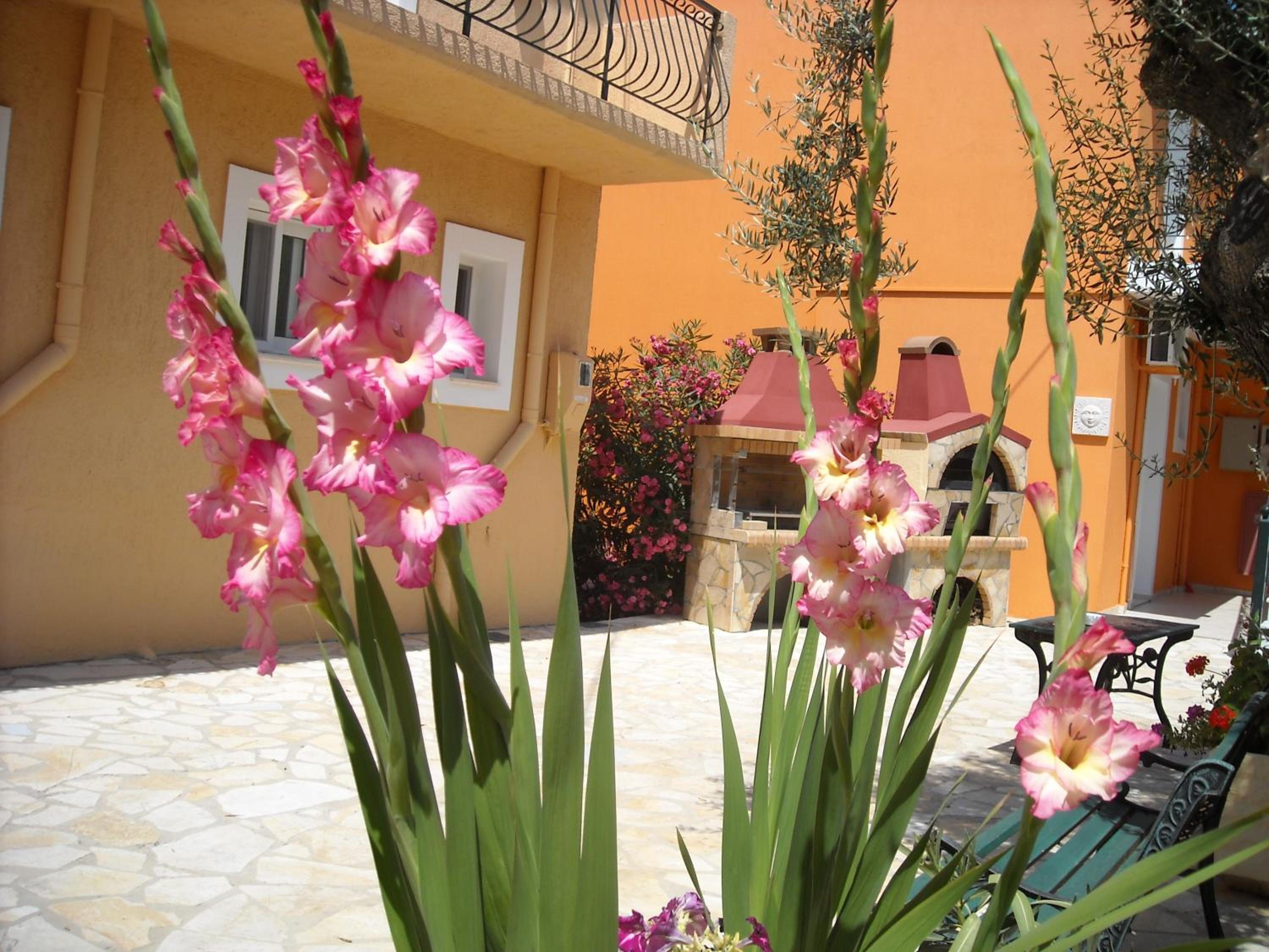 Erietta Studios