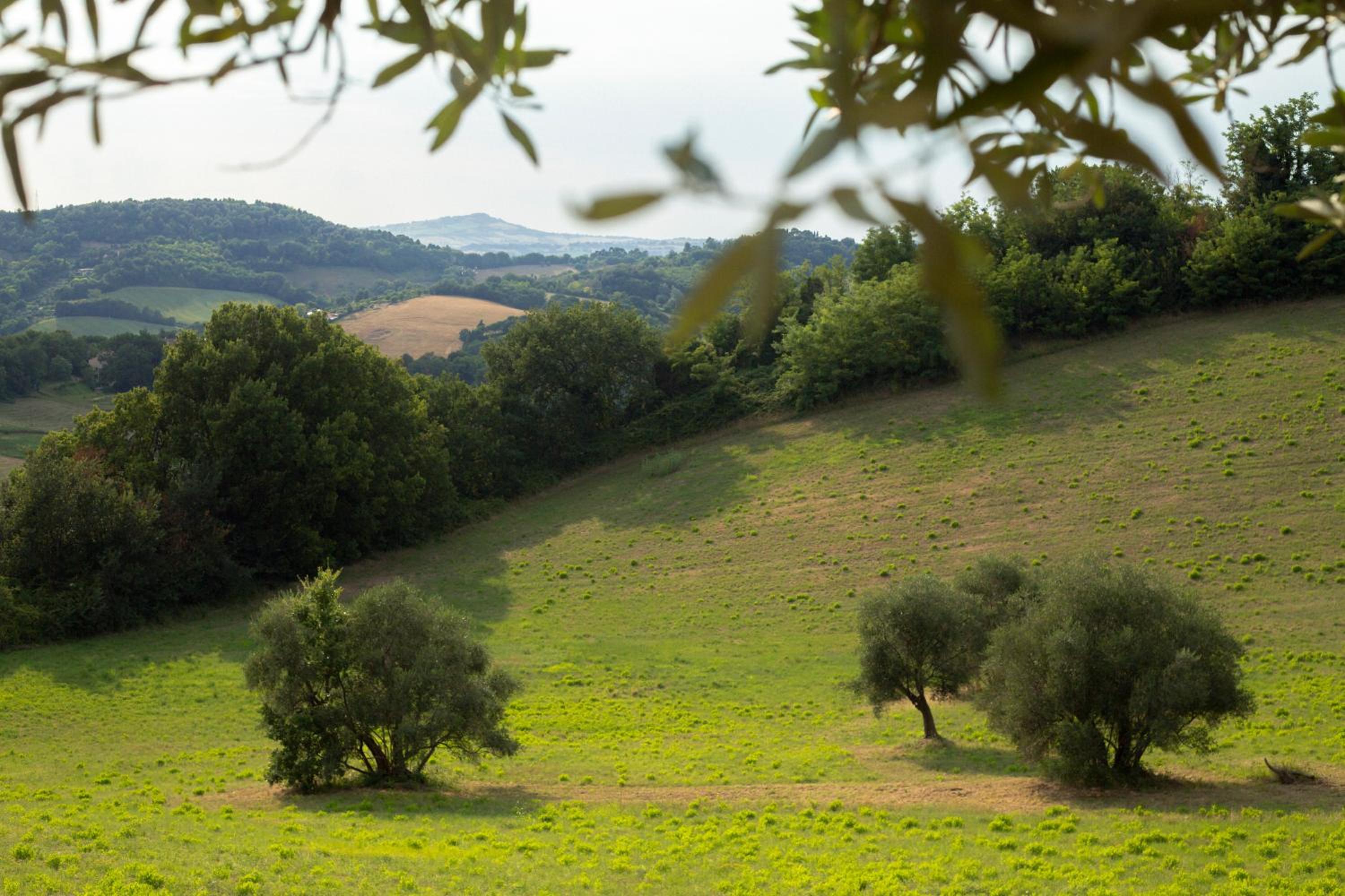 San Rocco Country House view 5