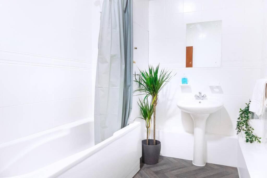 Apartment up to 9 close to Centre, big TV and WiFi