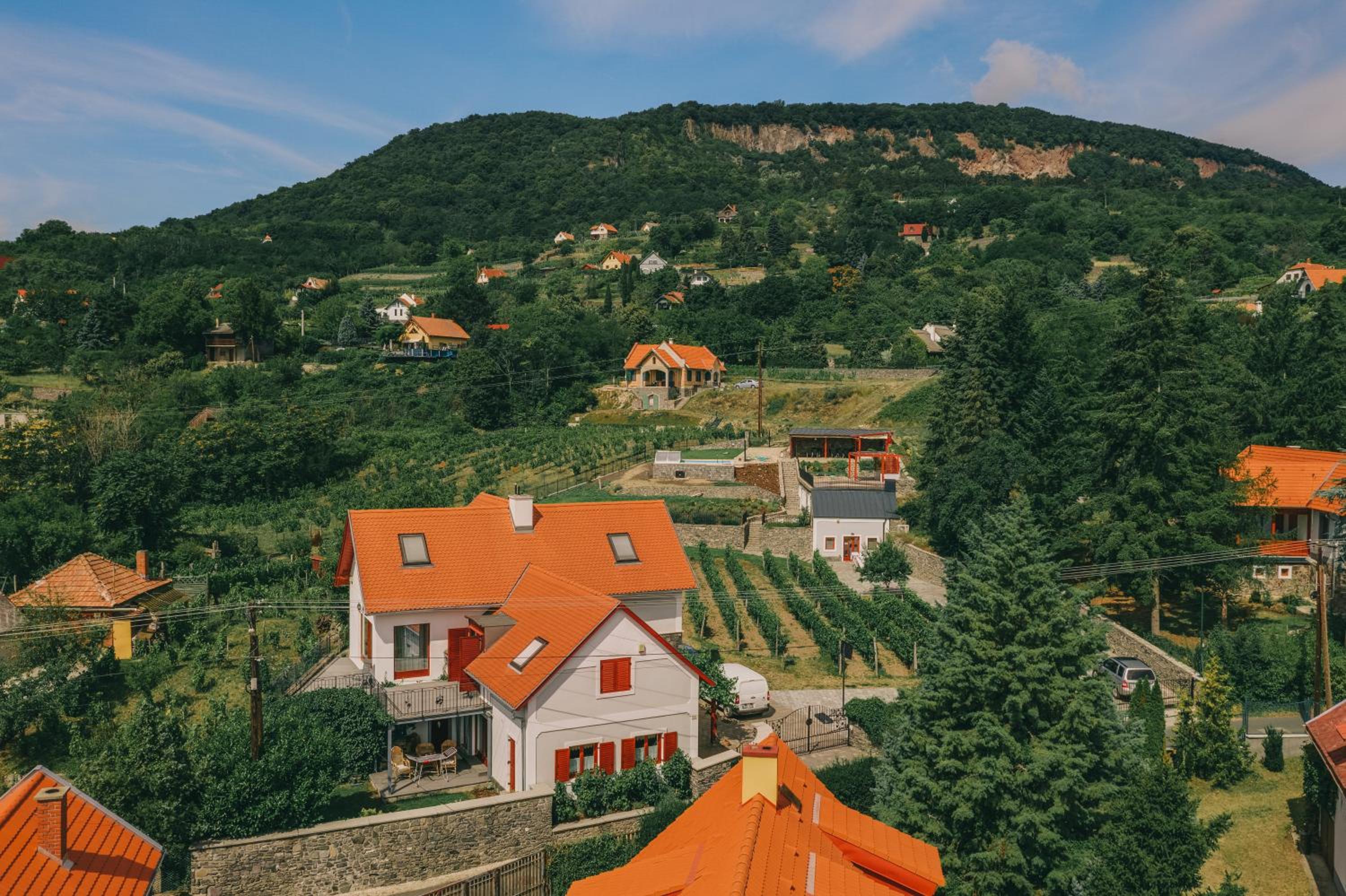 Villő Villa view 5