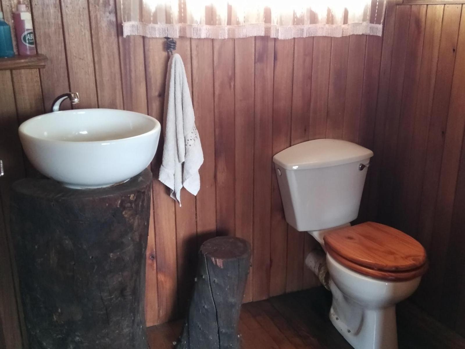 Hanlin Lodge view 2