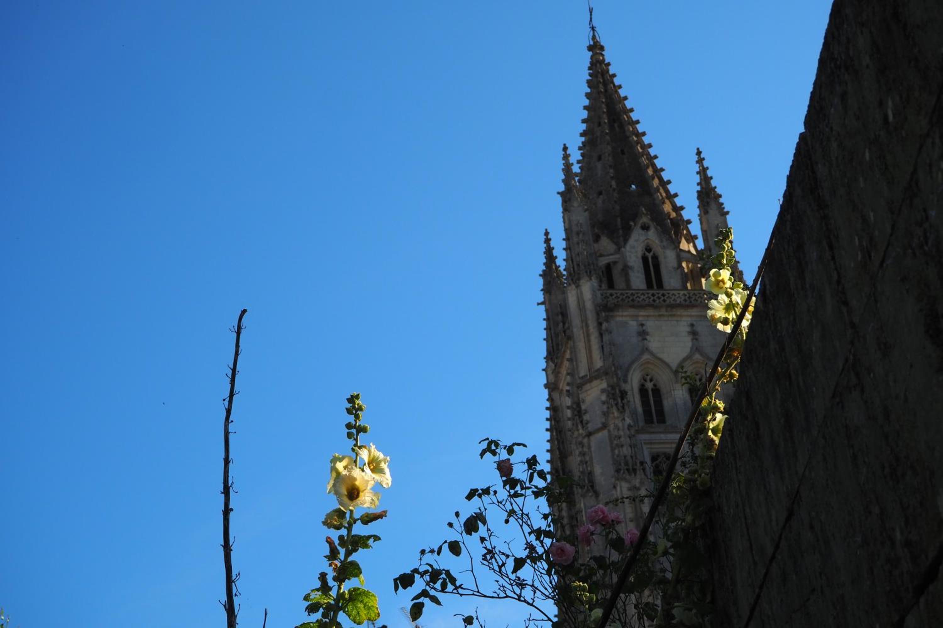Photo 11
