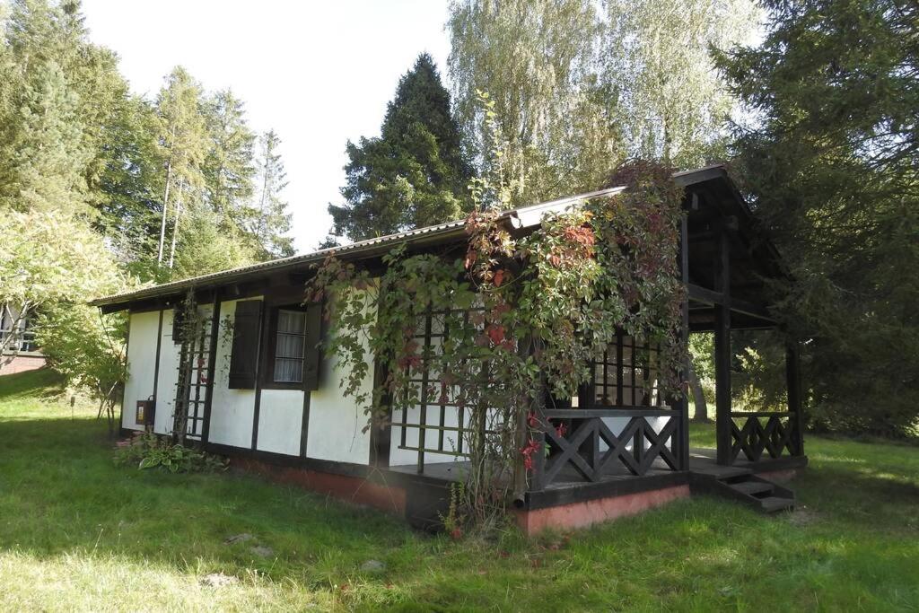 Modrzewiowy domek letniskowy - Stare Czaple view 4