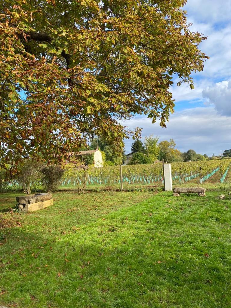 Le Jardin dans les vignes