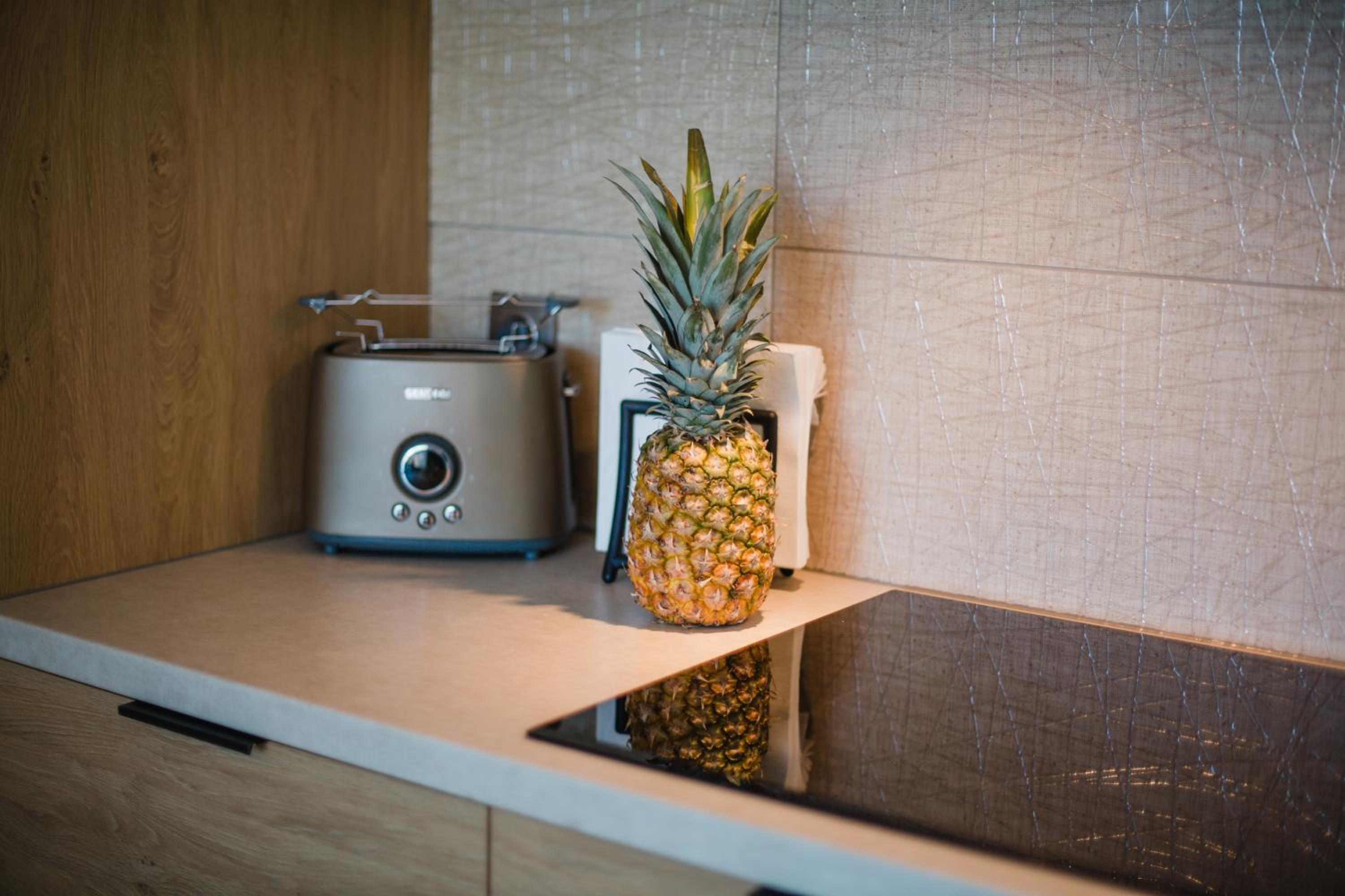 W&K Apartments - Green Suite view 2
