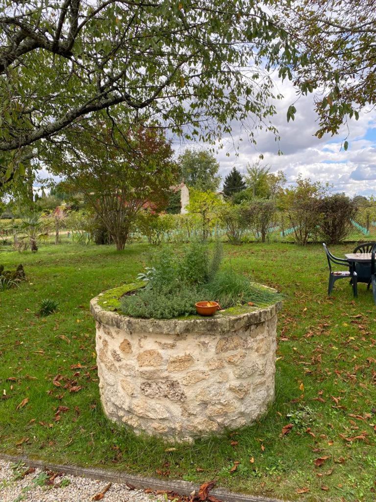 Le Jardin dans les vignes view 4