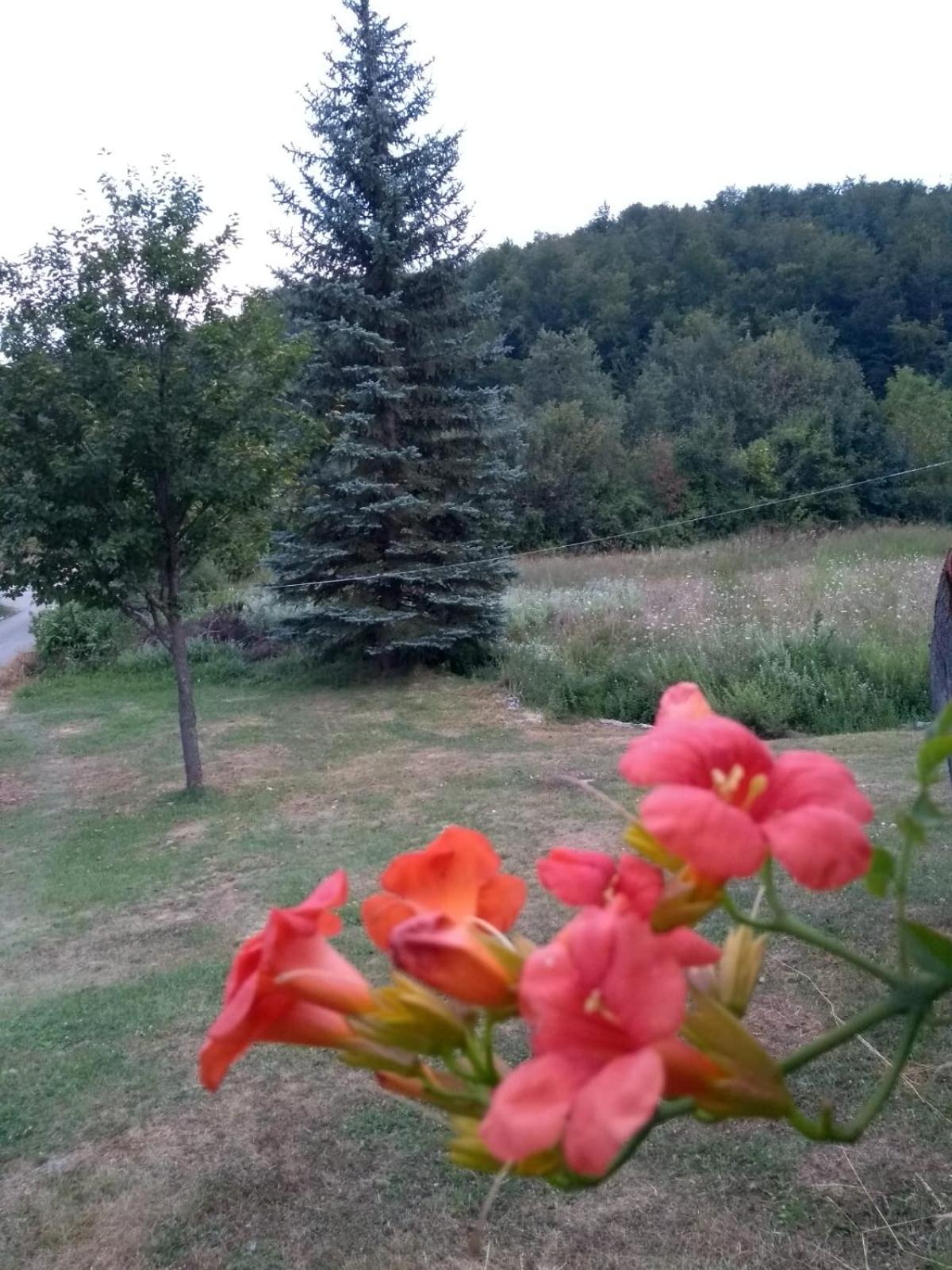 Apartman Sveti Rok view 4