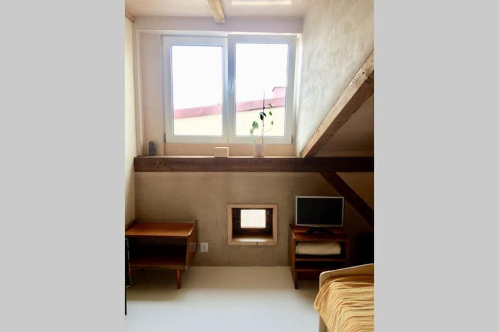 Caly apartament