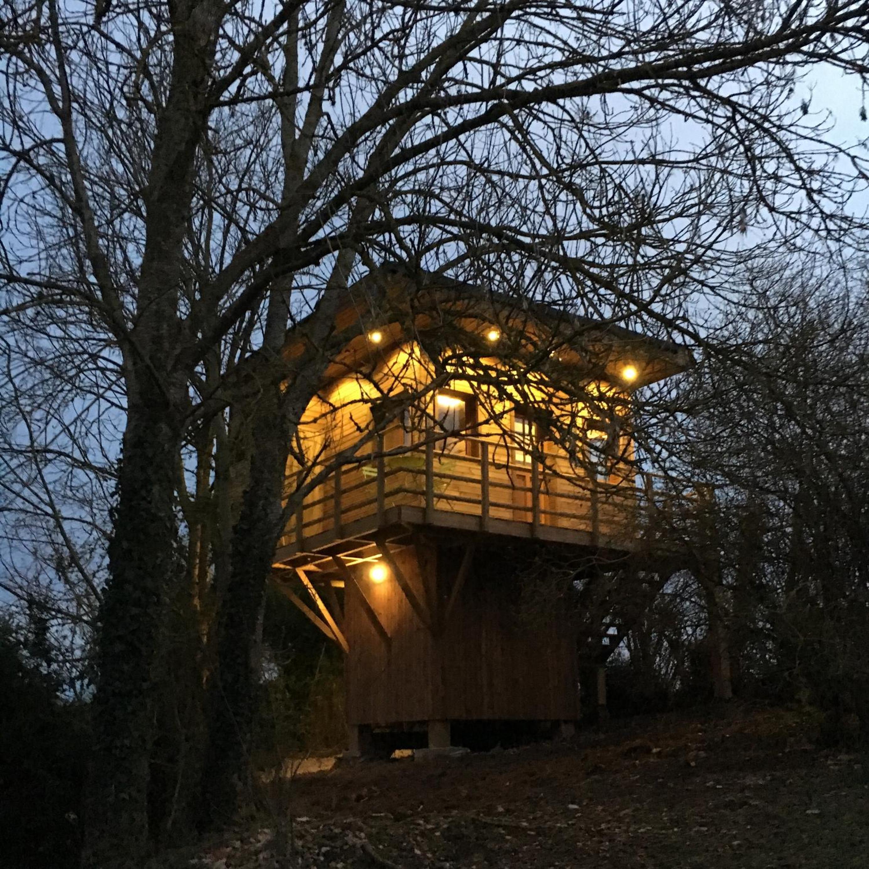 Cabane perchee view 2