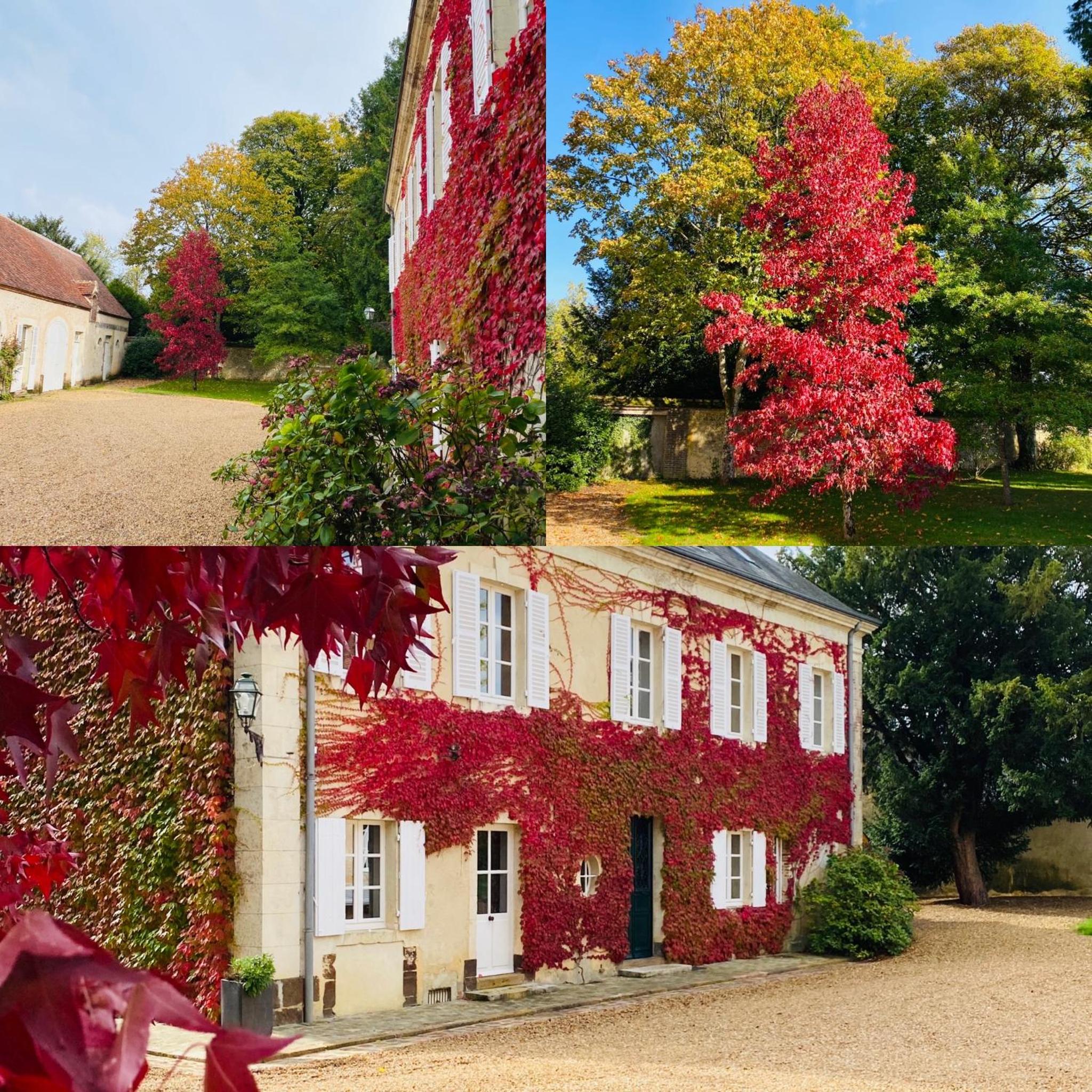 Les Couleurs du Verger