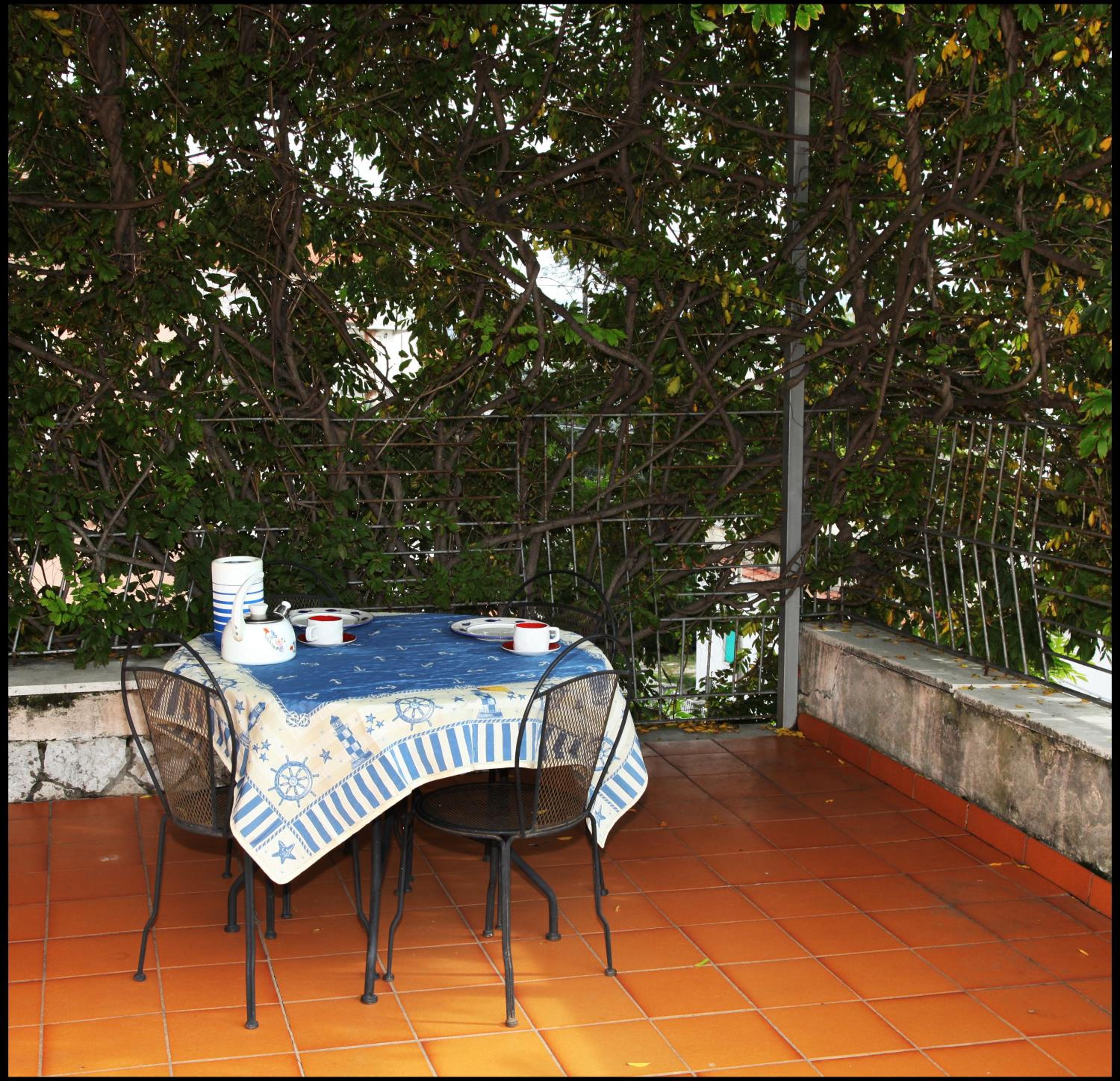 Orange Garden view 4