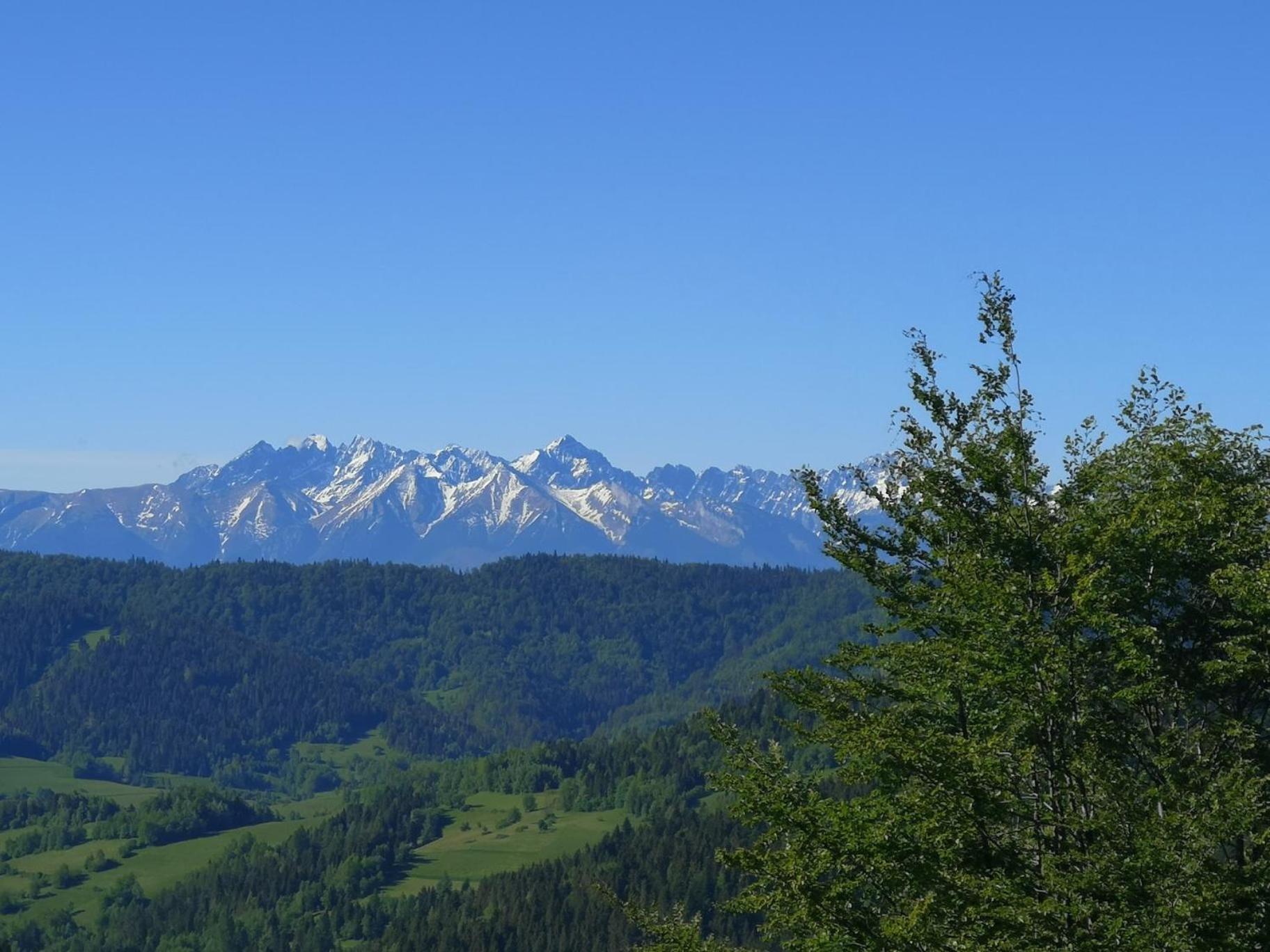 Gorczańskie Siedlisko view 2