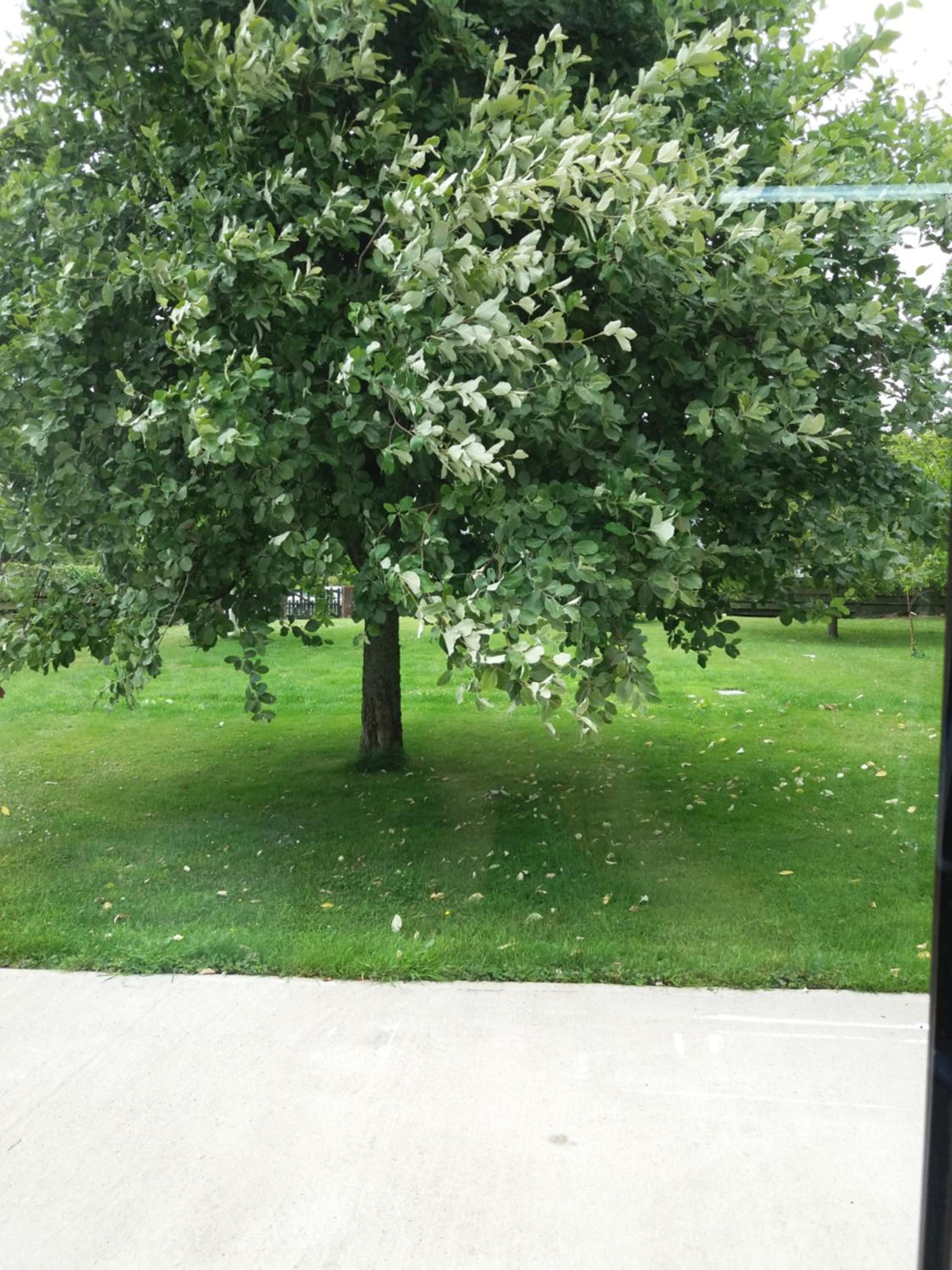 Lettermore 1 Apartment view 2