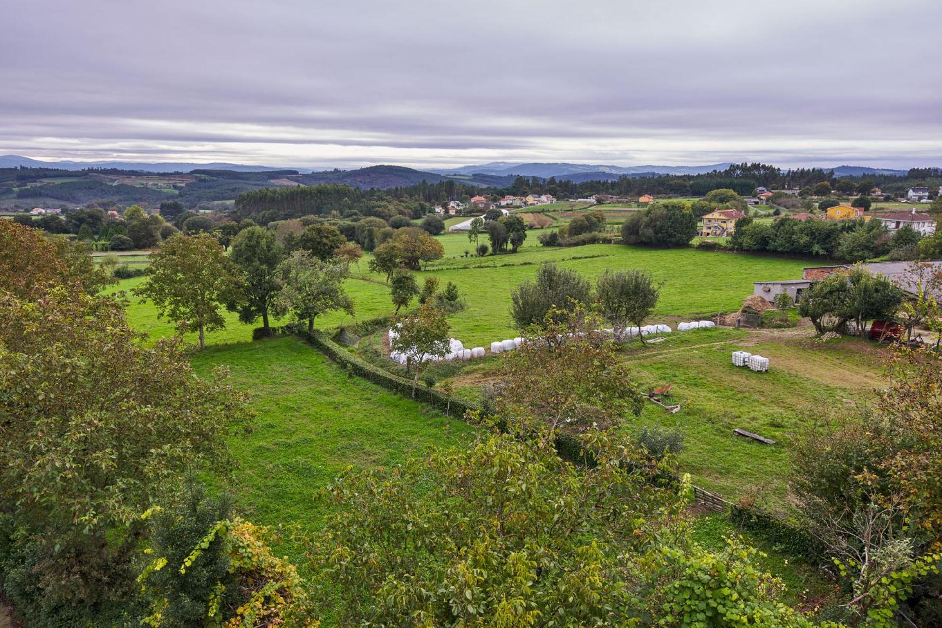 Hostal Restaurante Teodora view 4