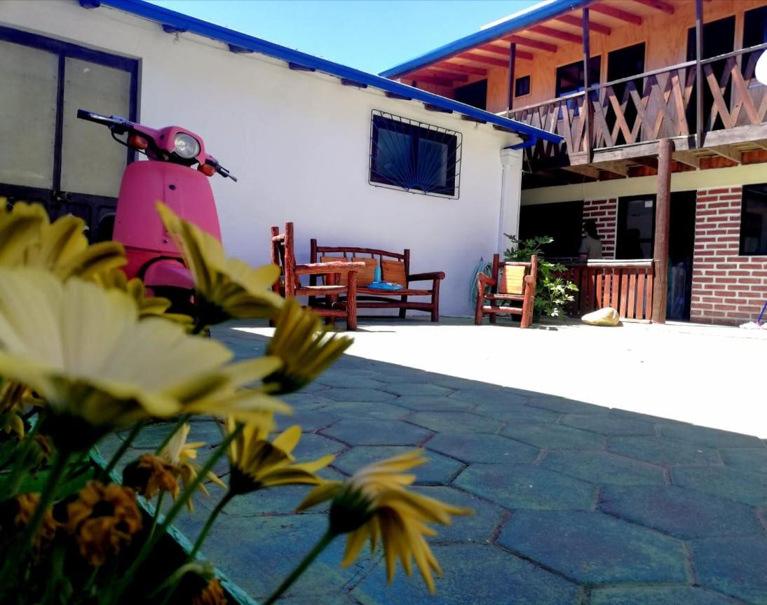 Hostal Traveland view 5