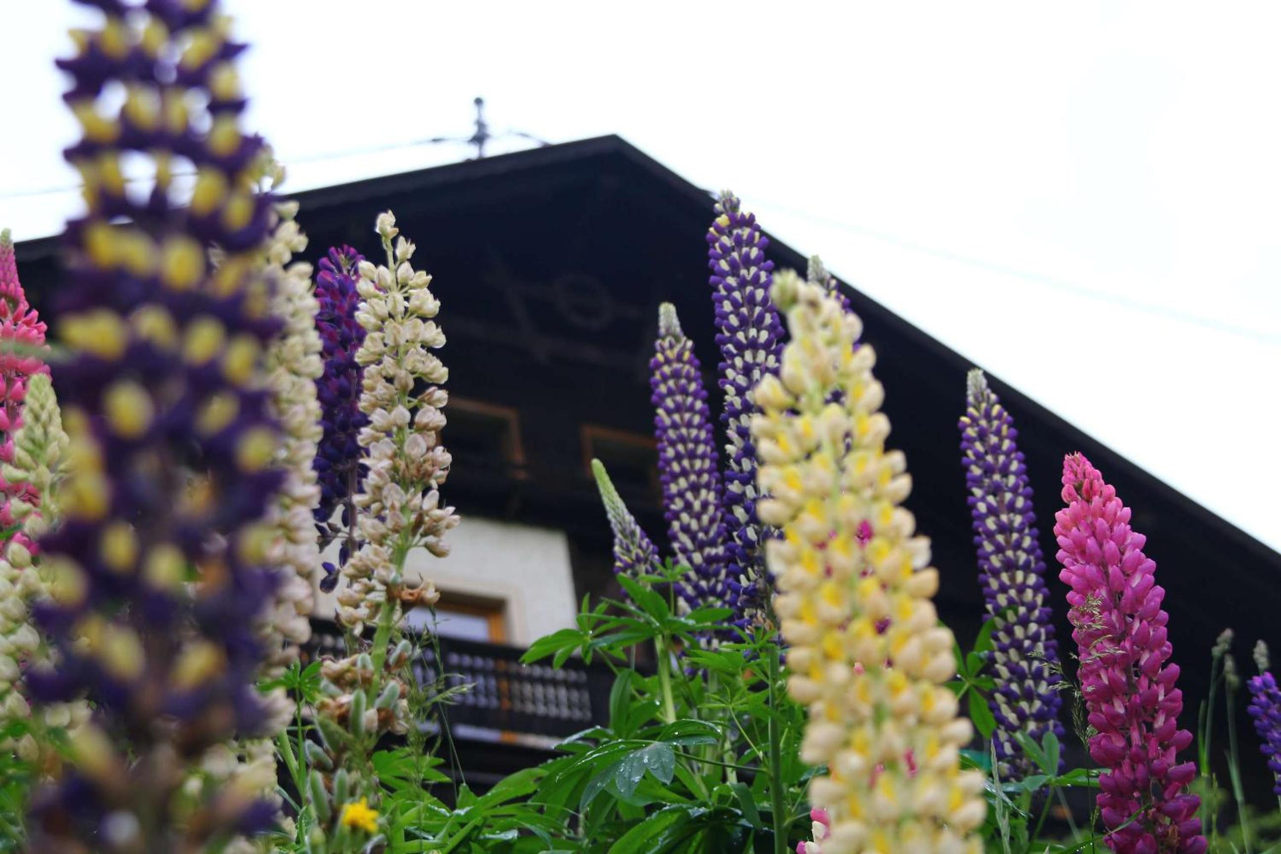 Gasthof Luggau
