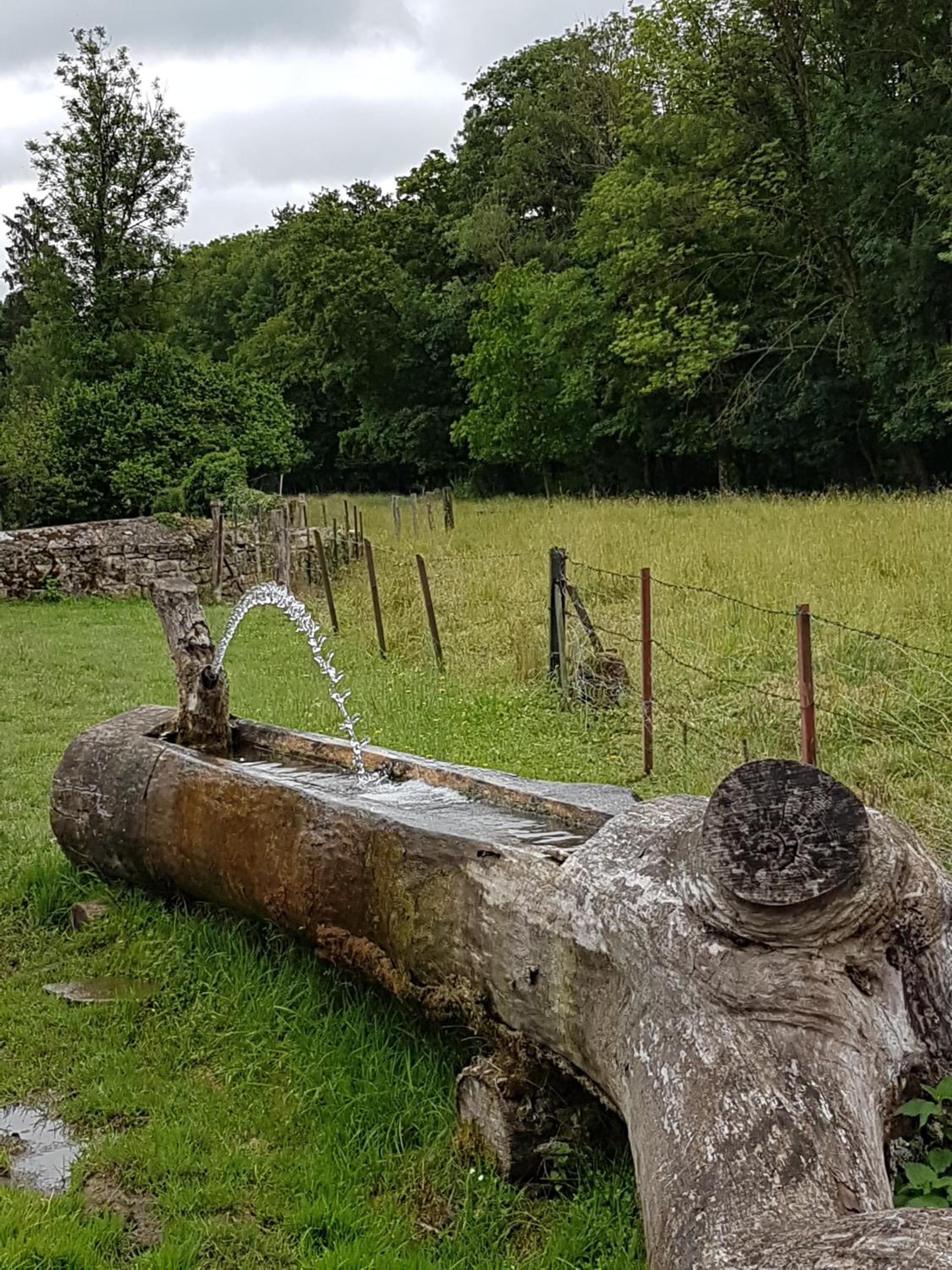 la grange aux oiseaux