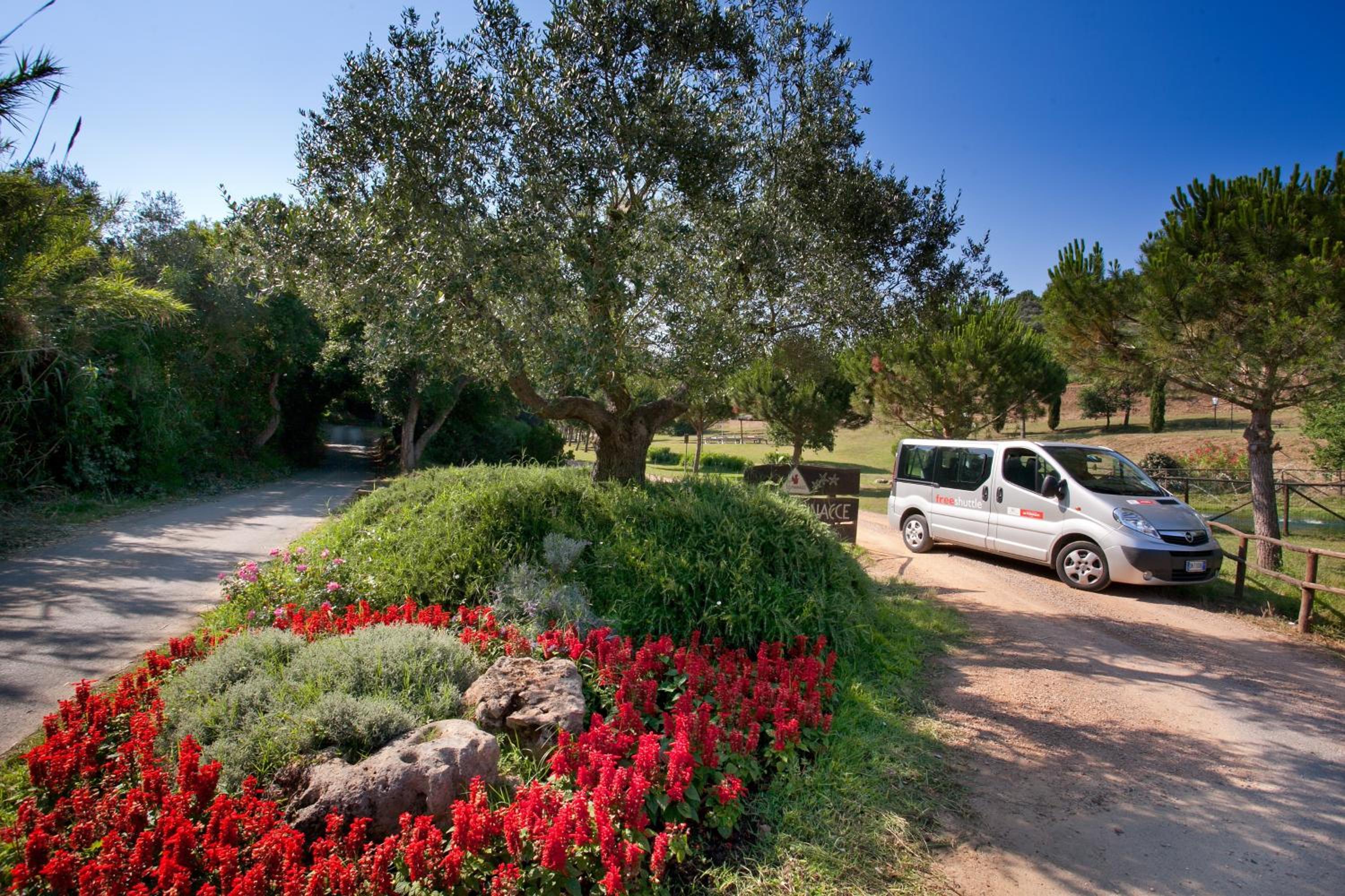 Le Pianacce Camping Village