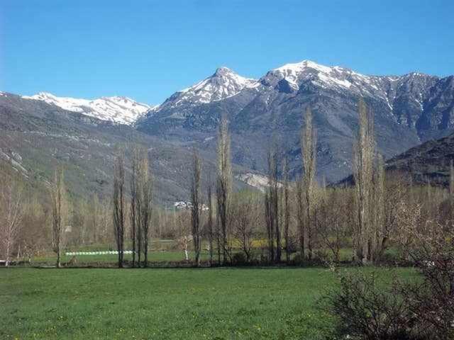 Photo 31