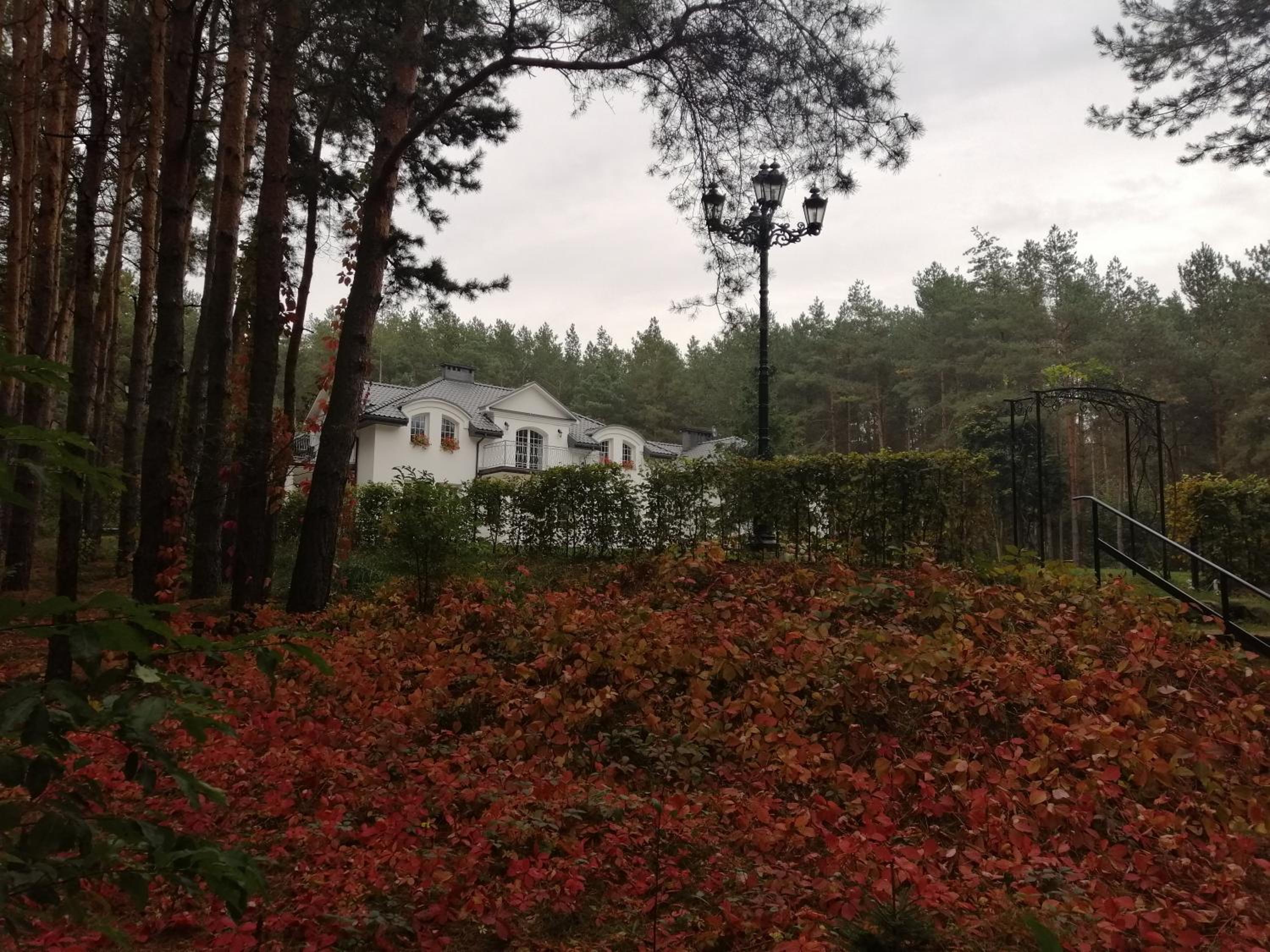 Leśny Dwór Uhowo view 4