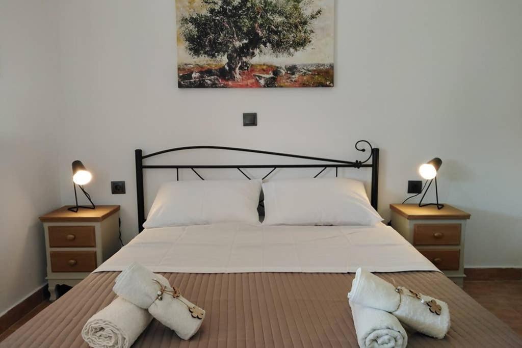 Apartment with Private Pool for Rent in Tzanata Kefalonia photo 1