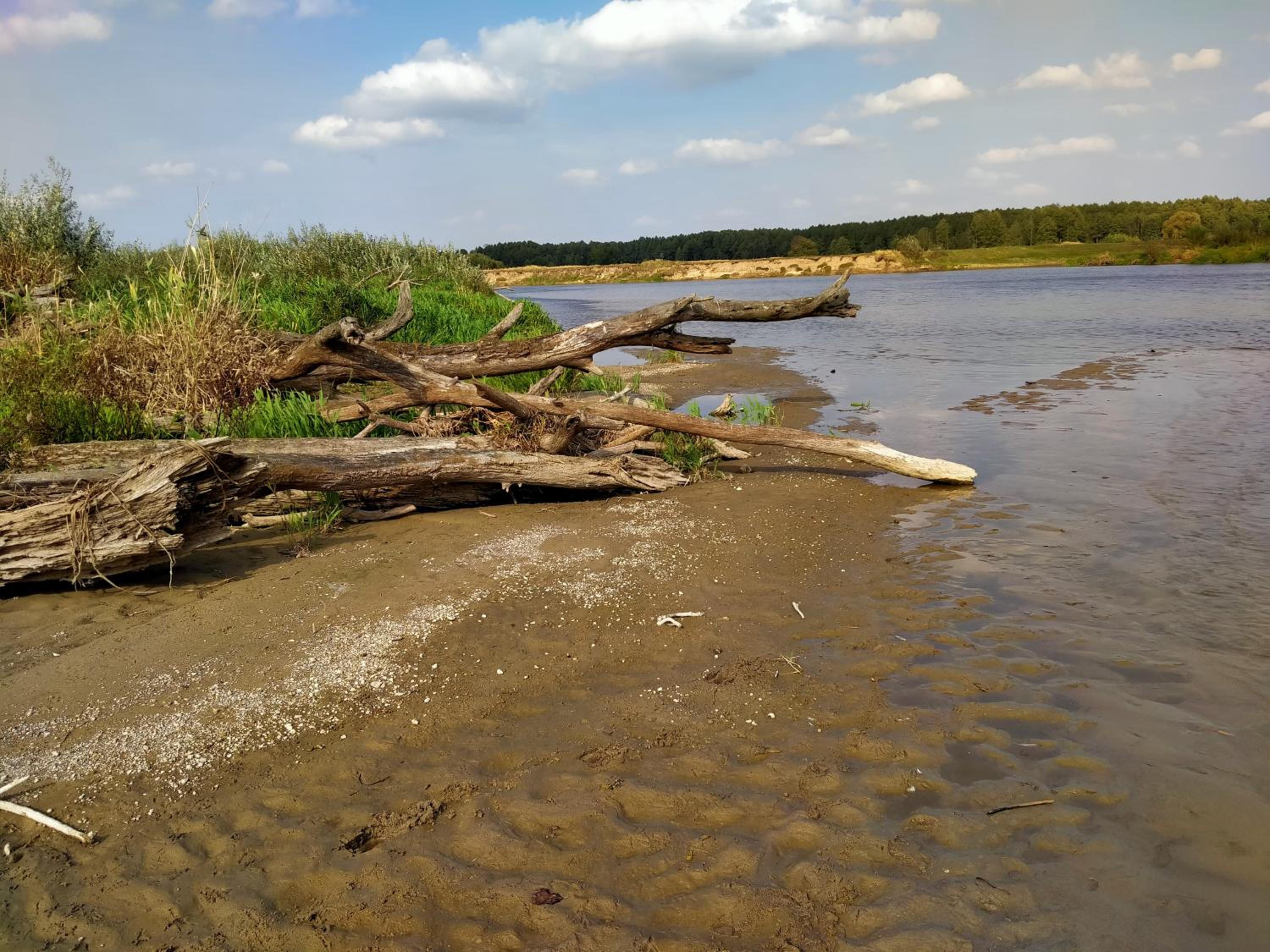 Nadbużańska Przygoda